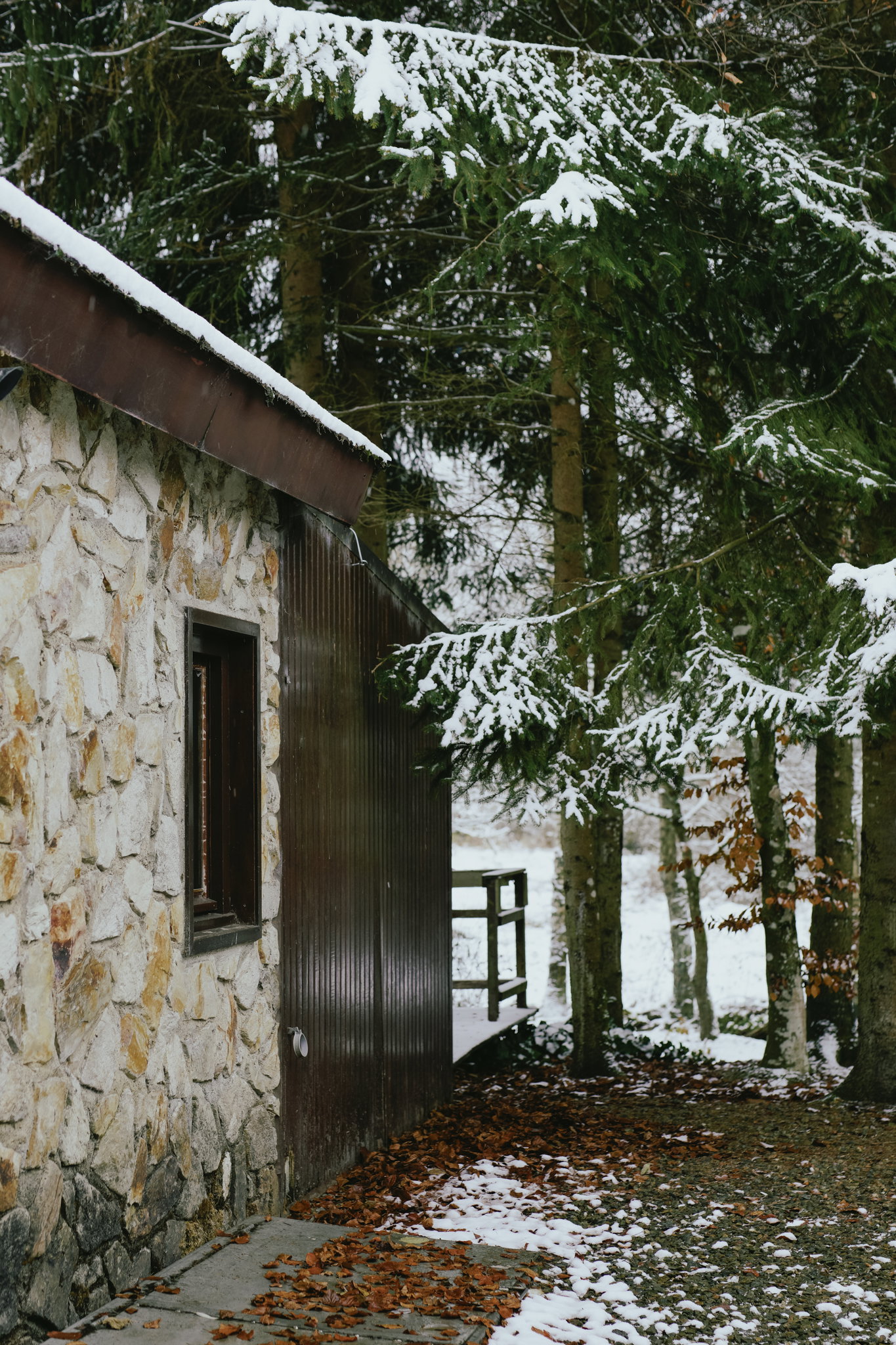 - image: 53