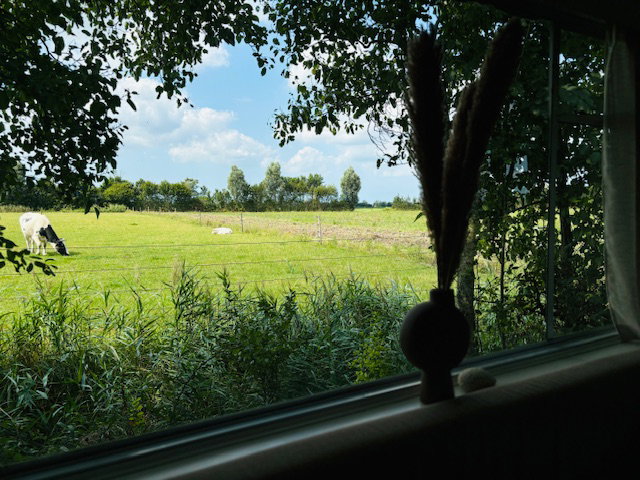 Natuurhuisje in Veere