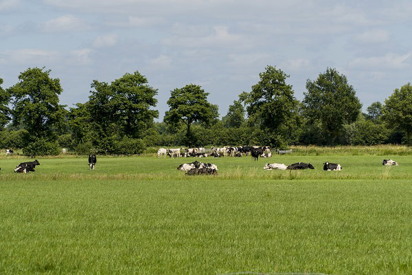 - image: 23