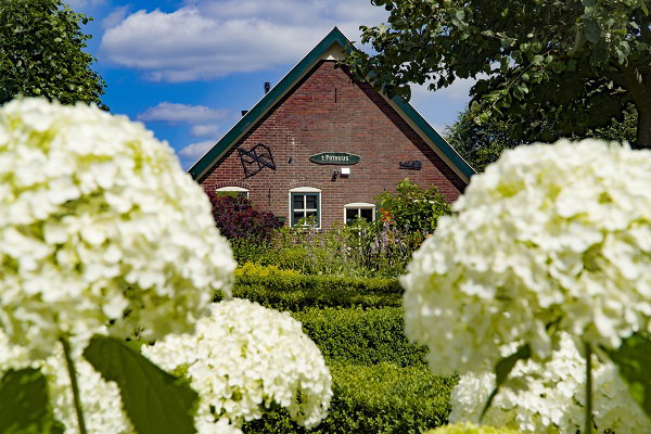 Maison nature à Ruurlo