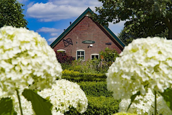 Nature house in Ruurlo