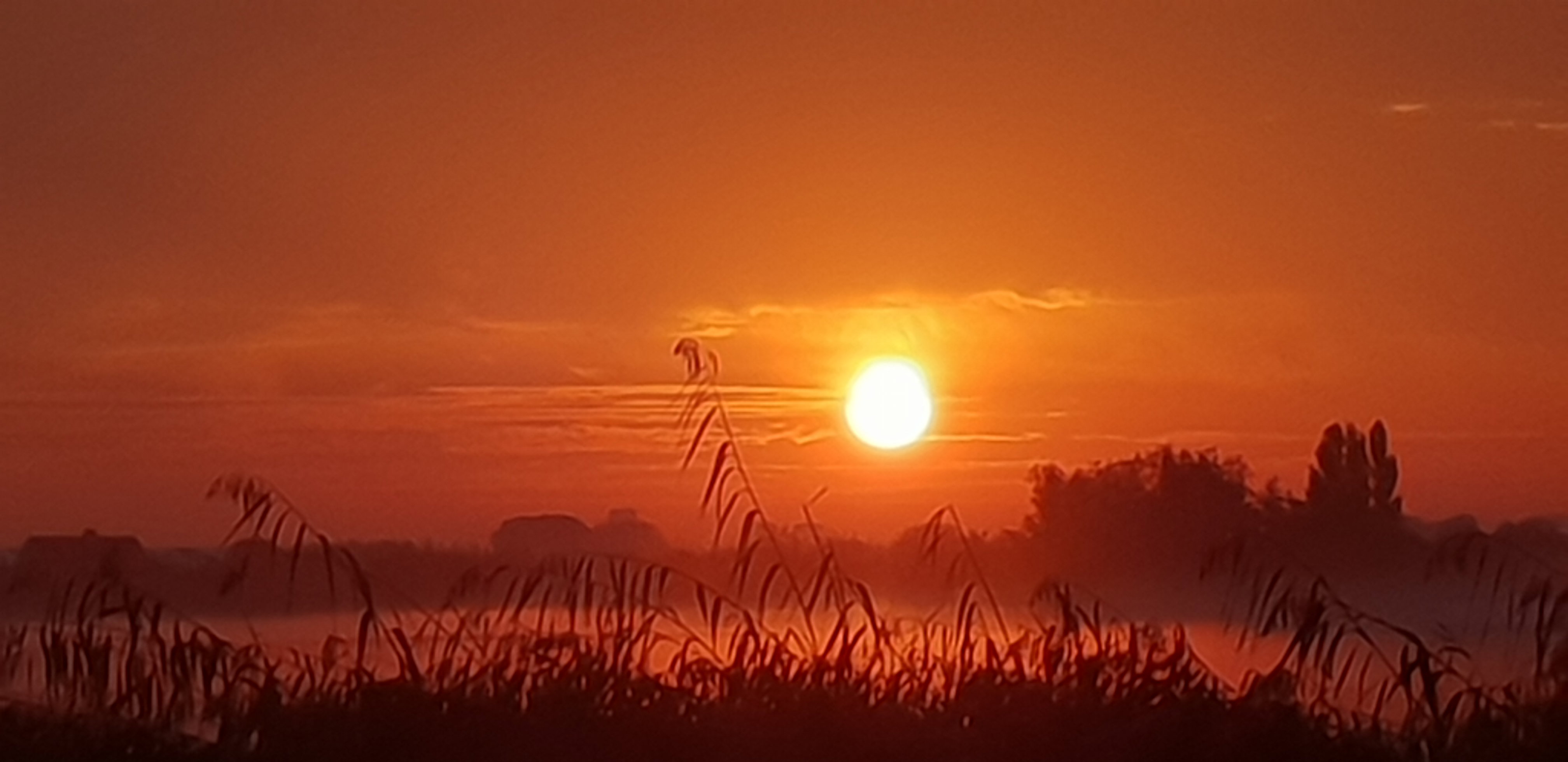 Natuurhuisje in Schipluiden