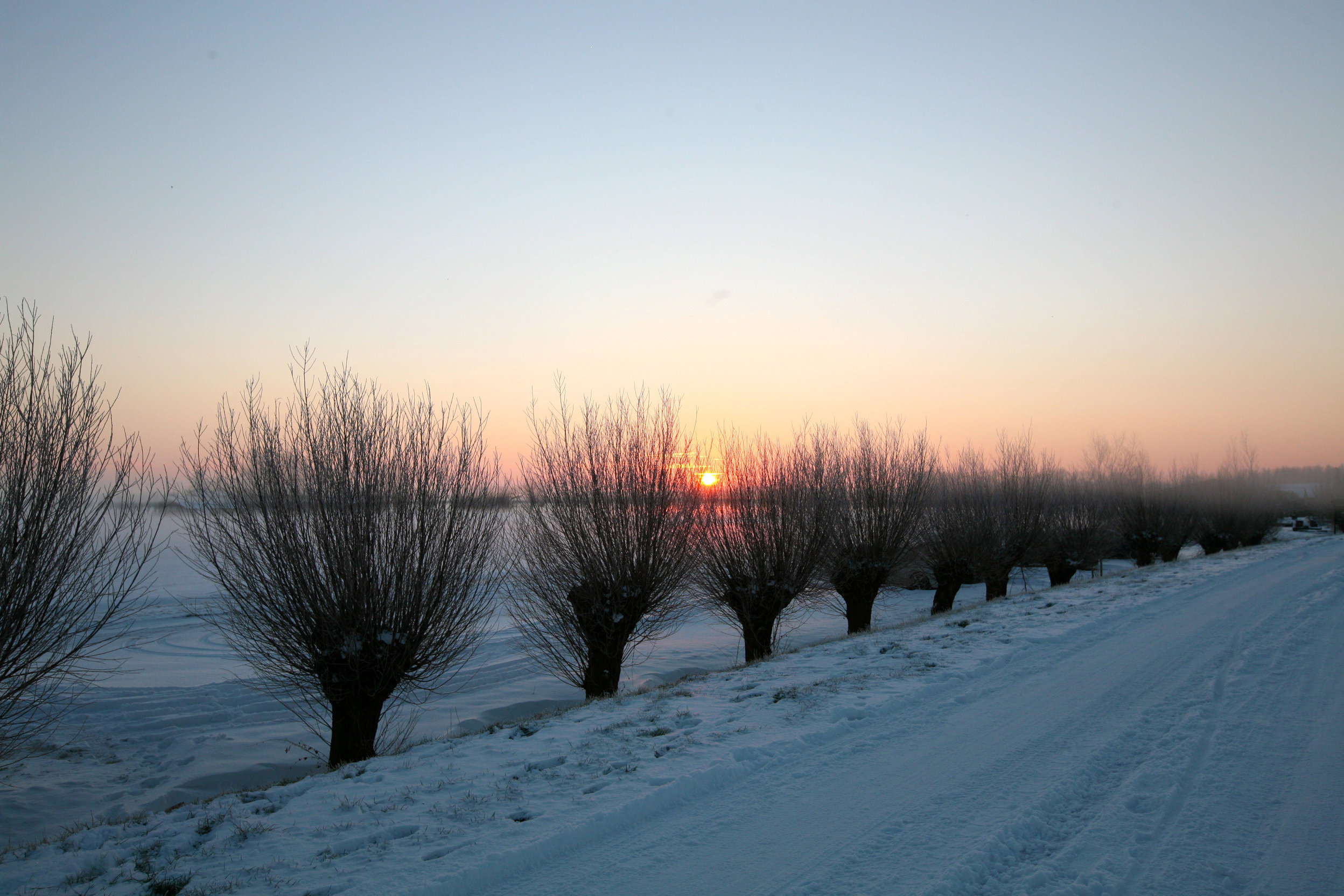 - image: 11