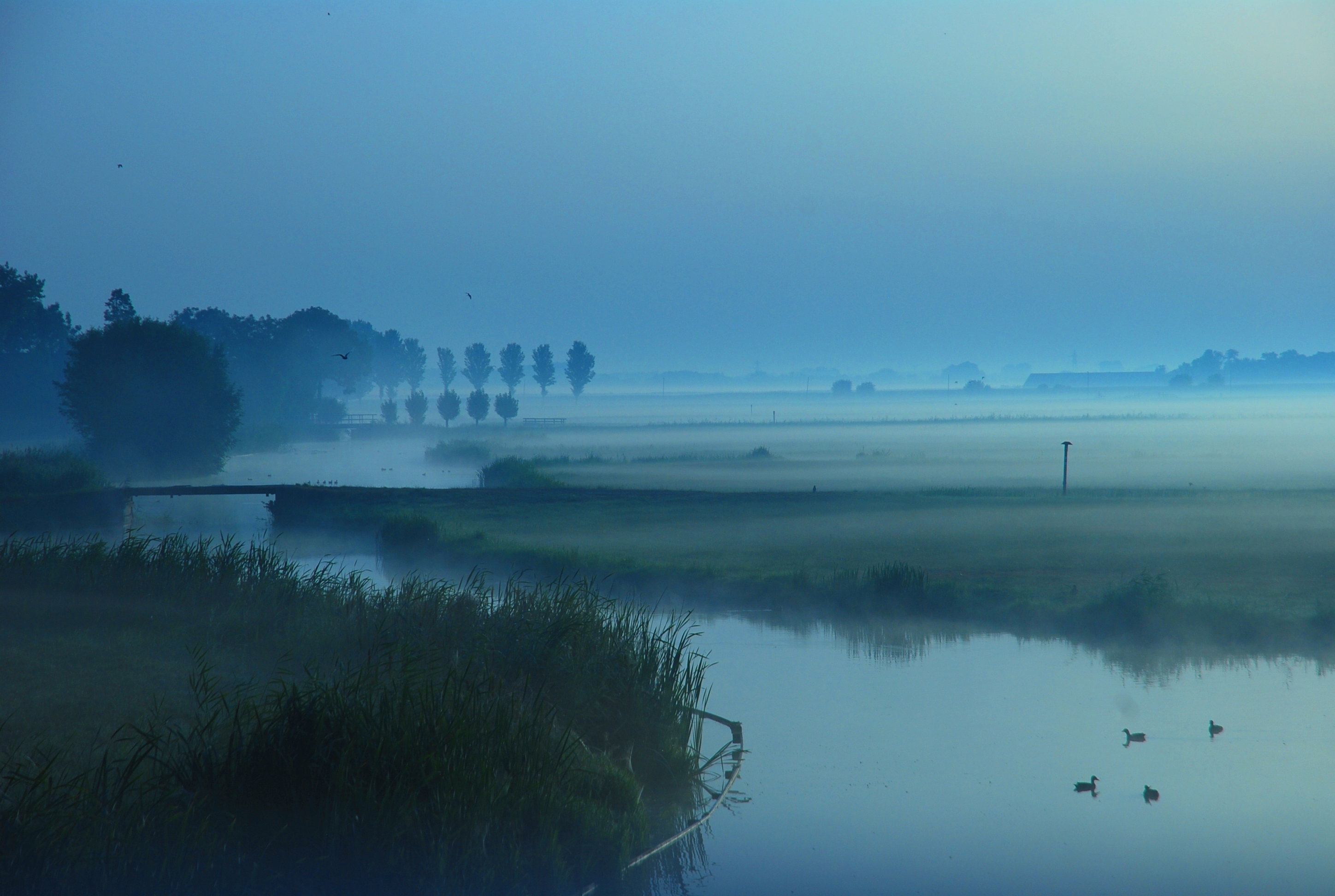 Natuurhuisje in Schipluiden
