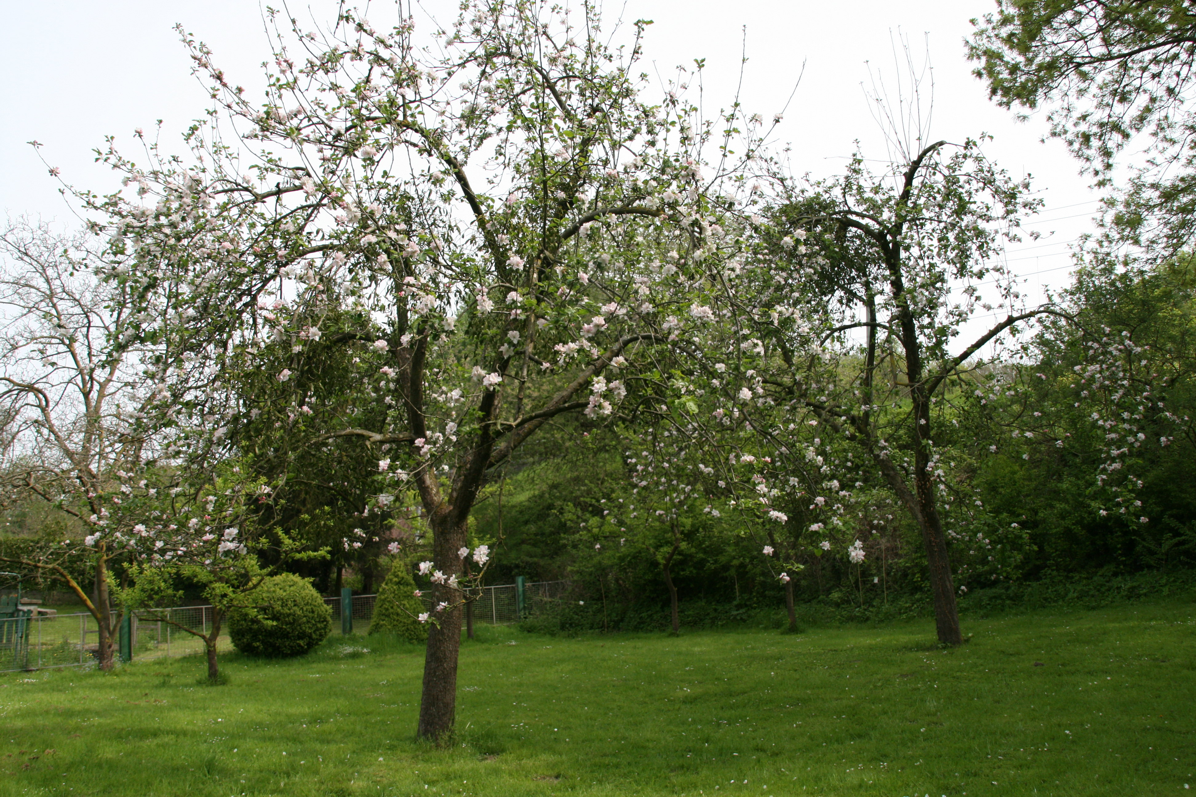 - image: 14
