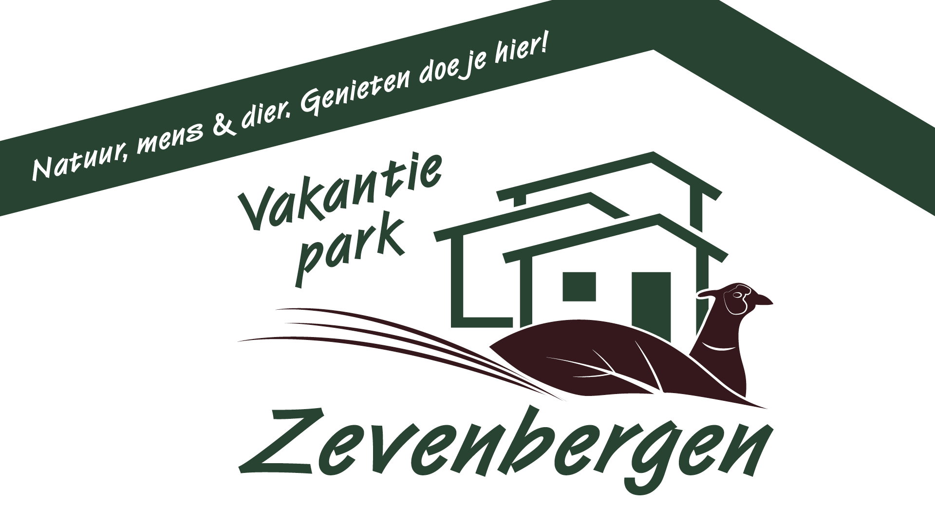 - image: 20