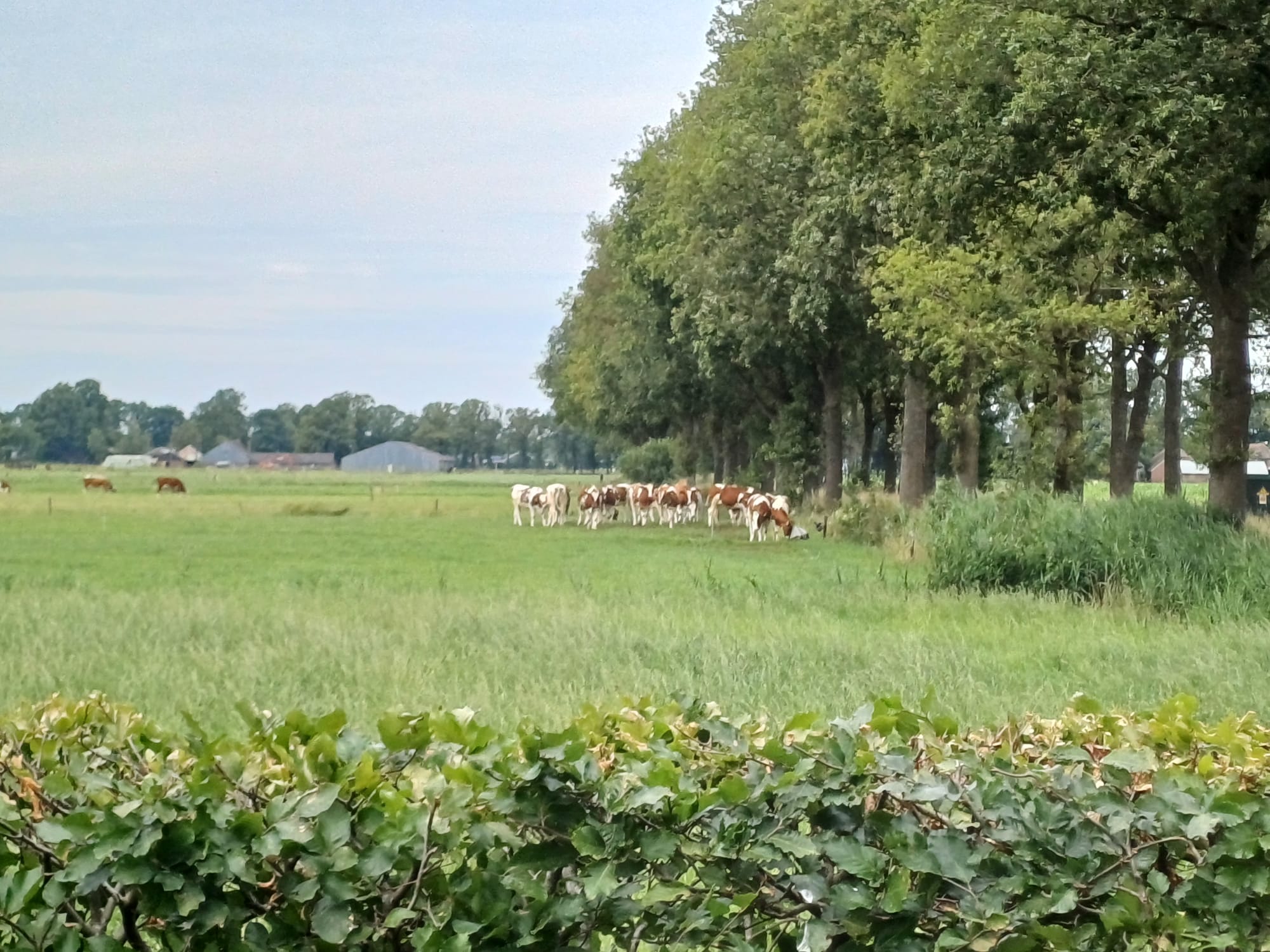 Casa nella natura a Dalfsen