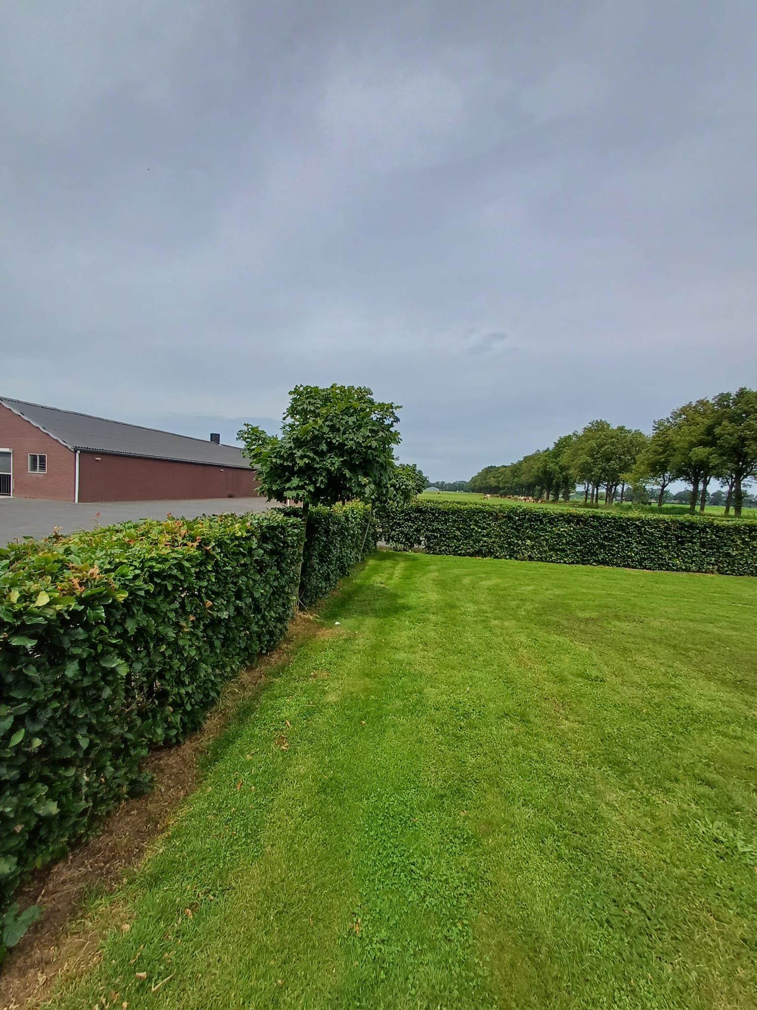 Casa nella natura a Dalfsen
