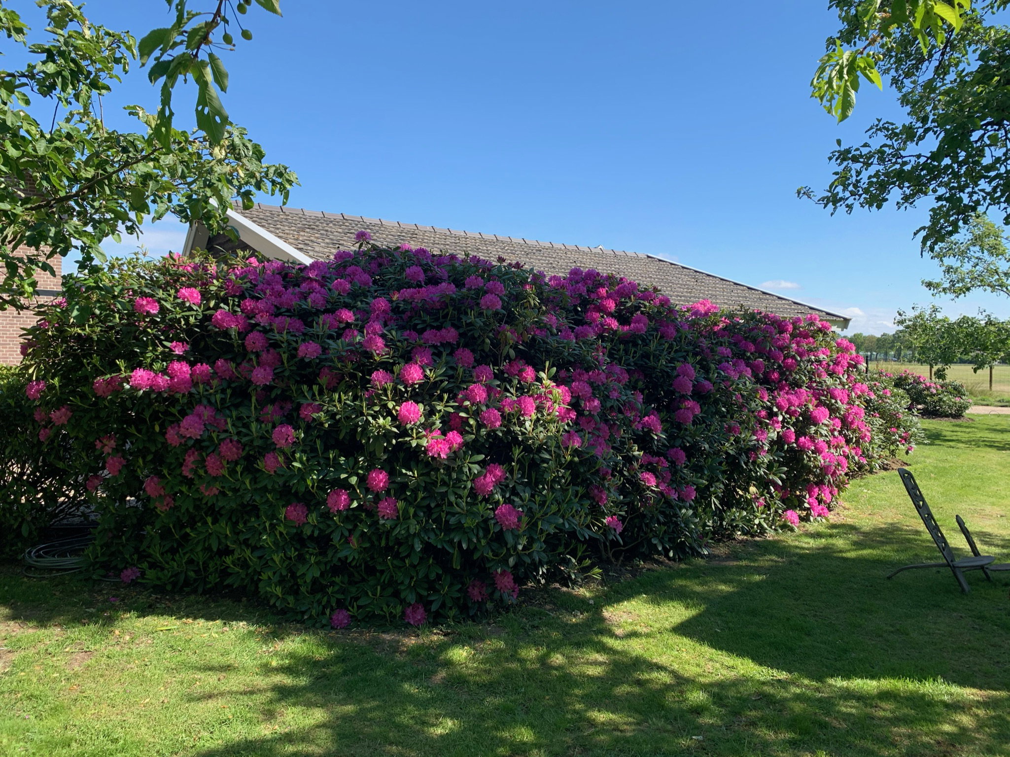 Maison nature à Eerbeek