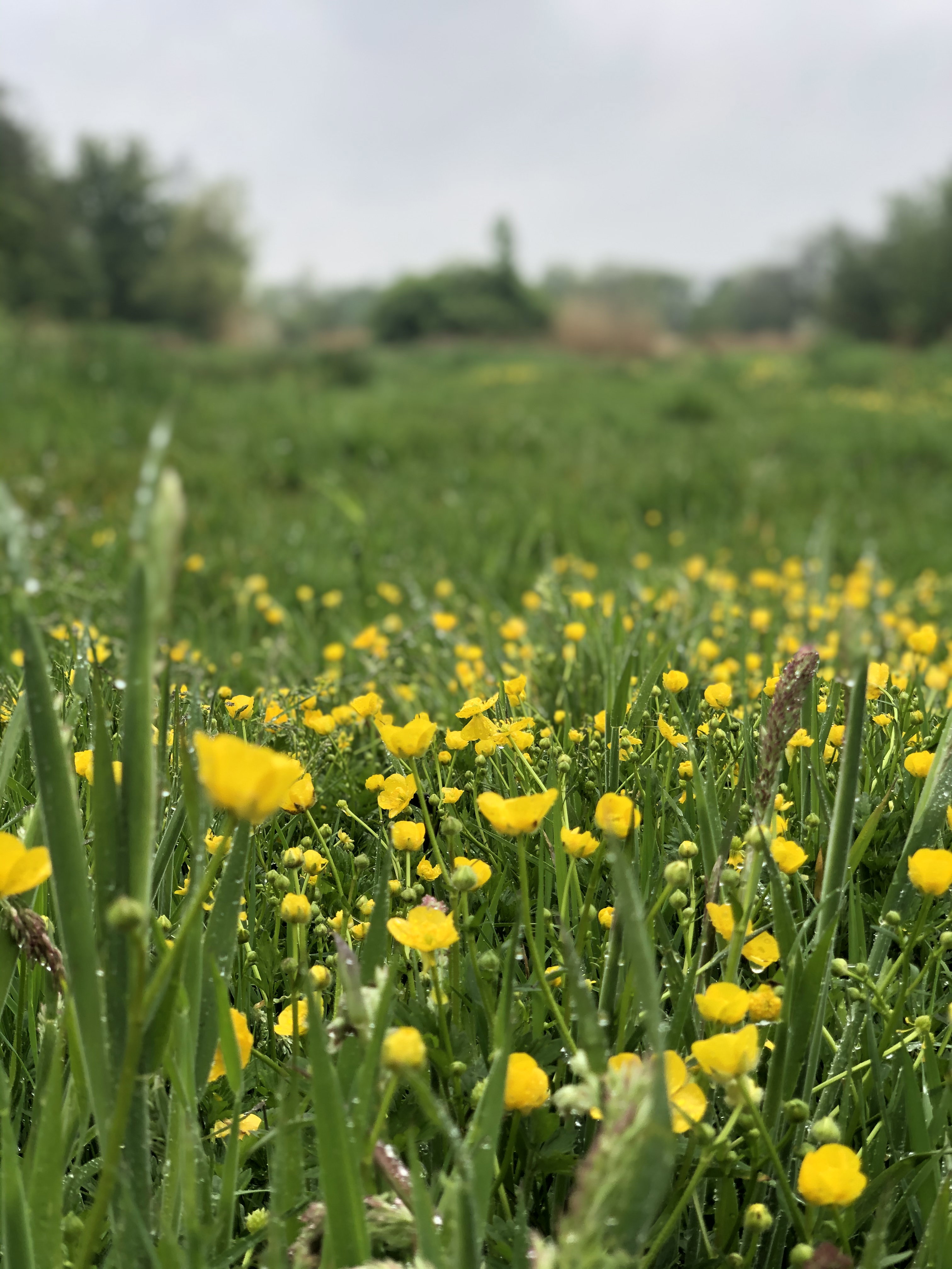 Natuurhuisje in Amsterdam