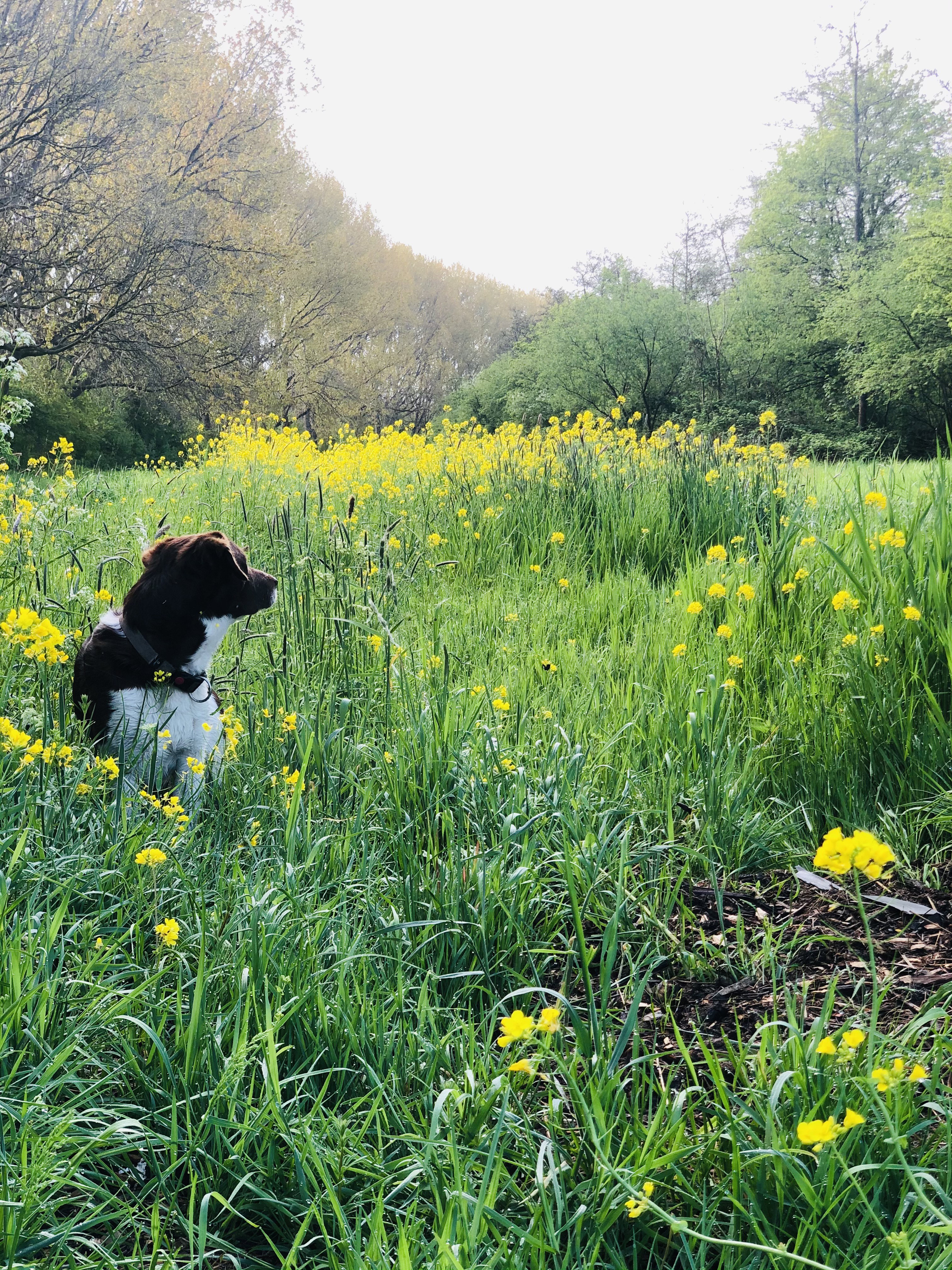 Natuurhuisje in Amsterdam