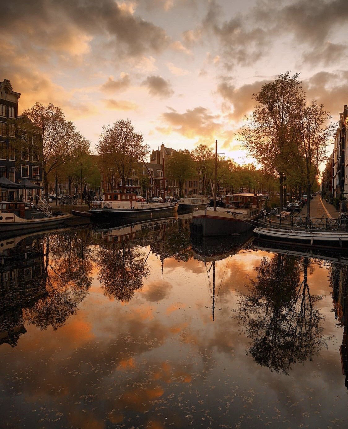 Natuurhuisje in Amsterdam