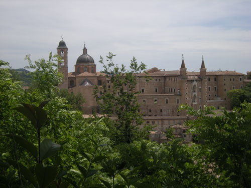 - image: 23