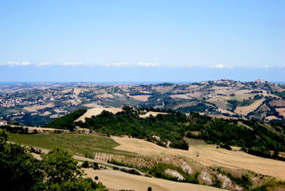 - image: 25