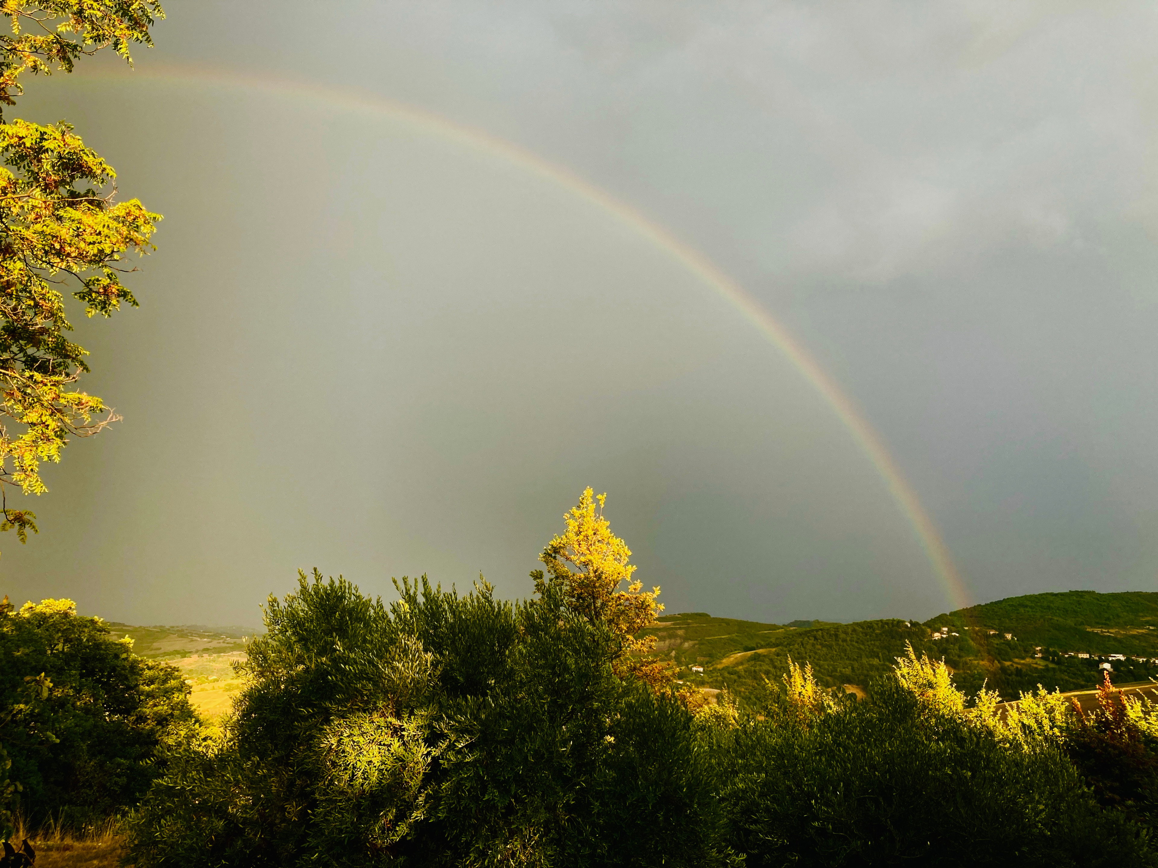 - image: 28