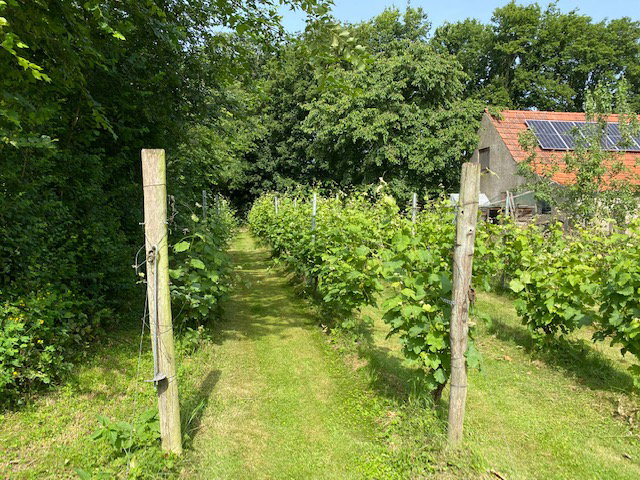 Natuurhuisje in Groesbeek