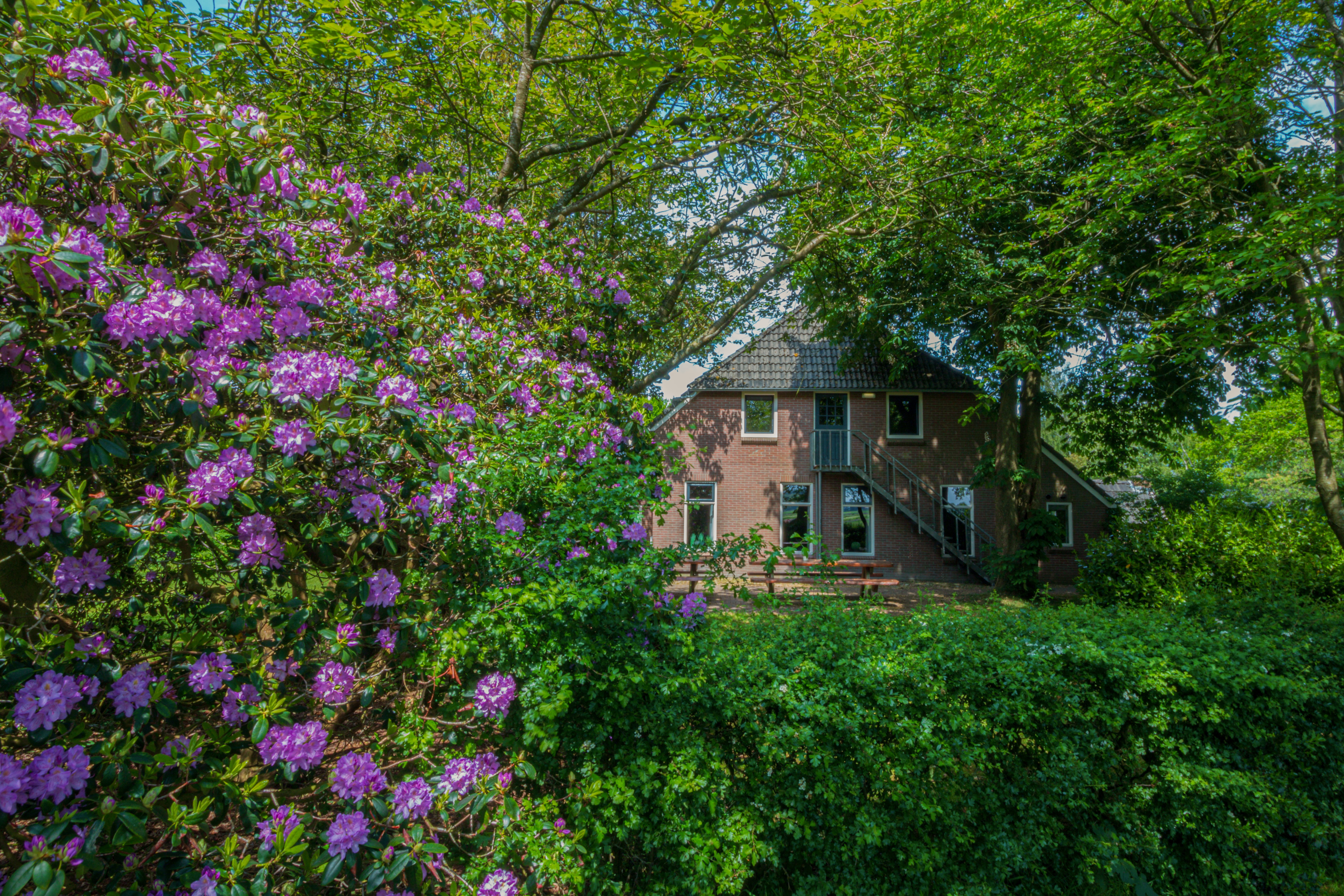 Maison nature à Ellertshaar