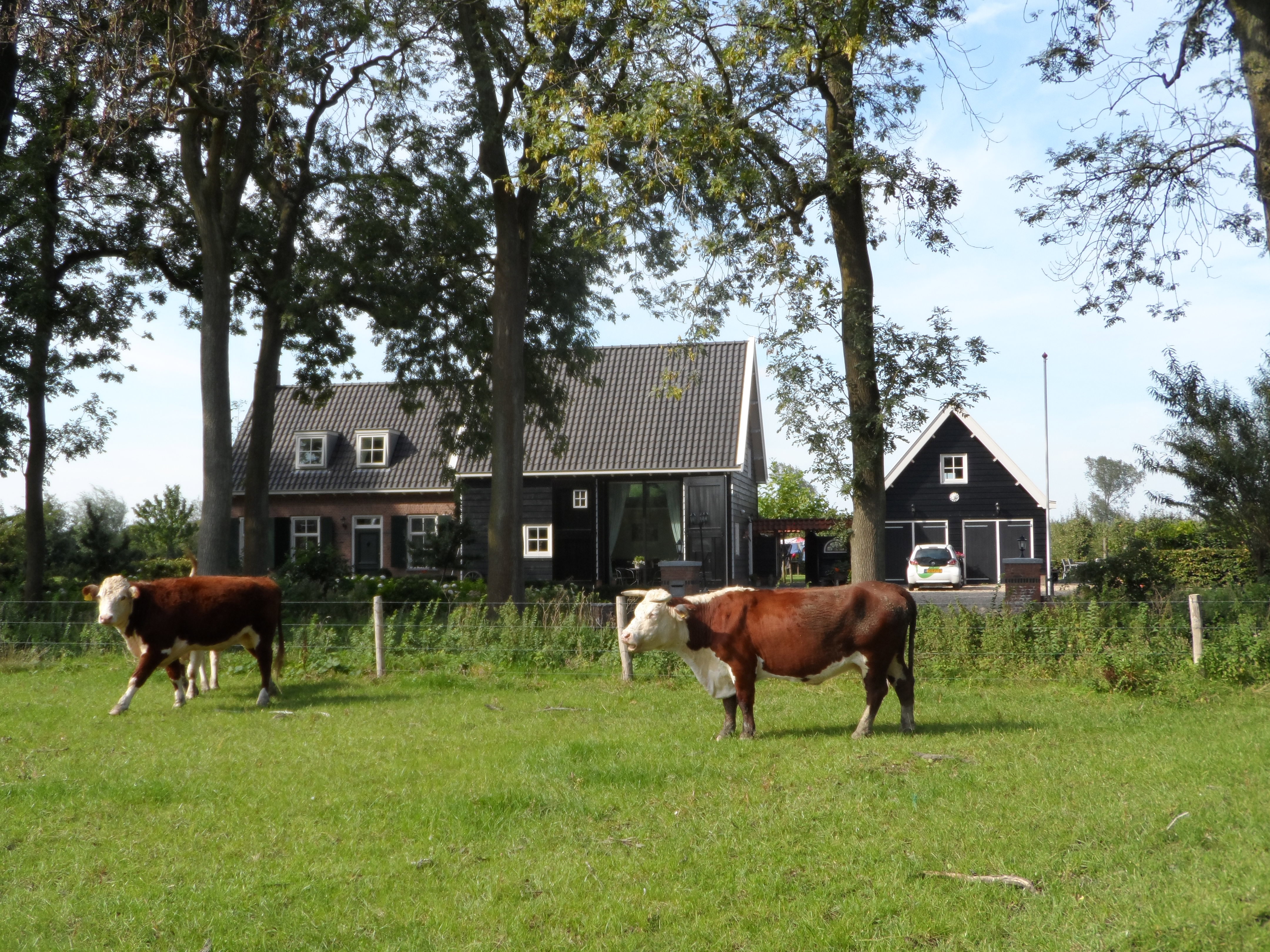 Naturhäuschen in Kwadendamme