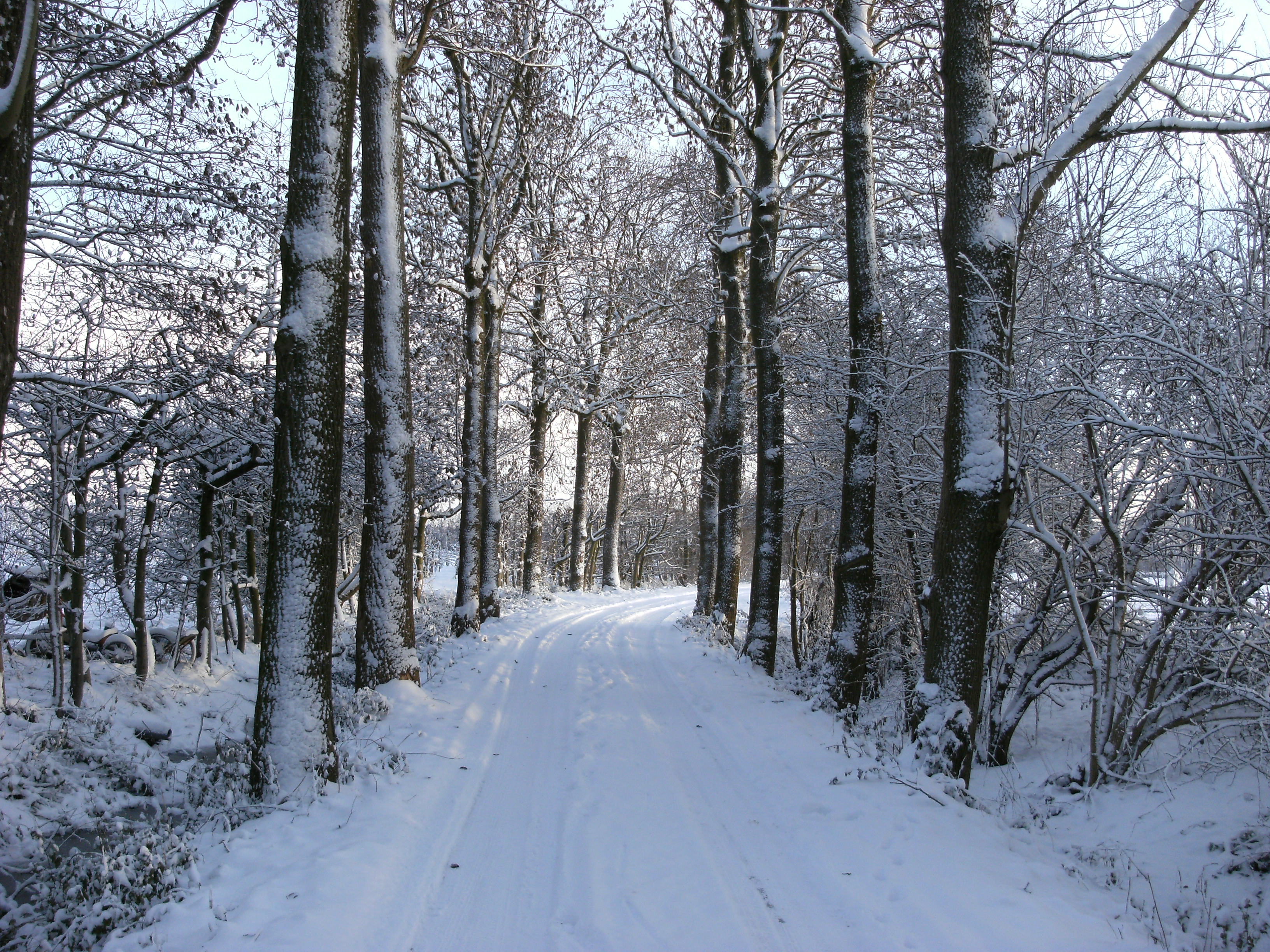 - image: 14