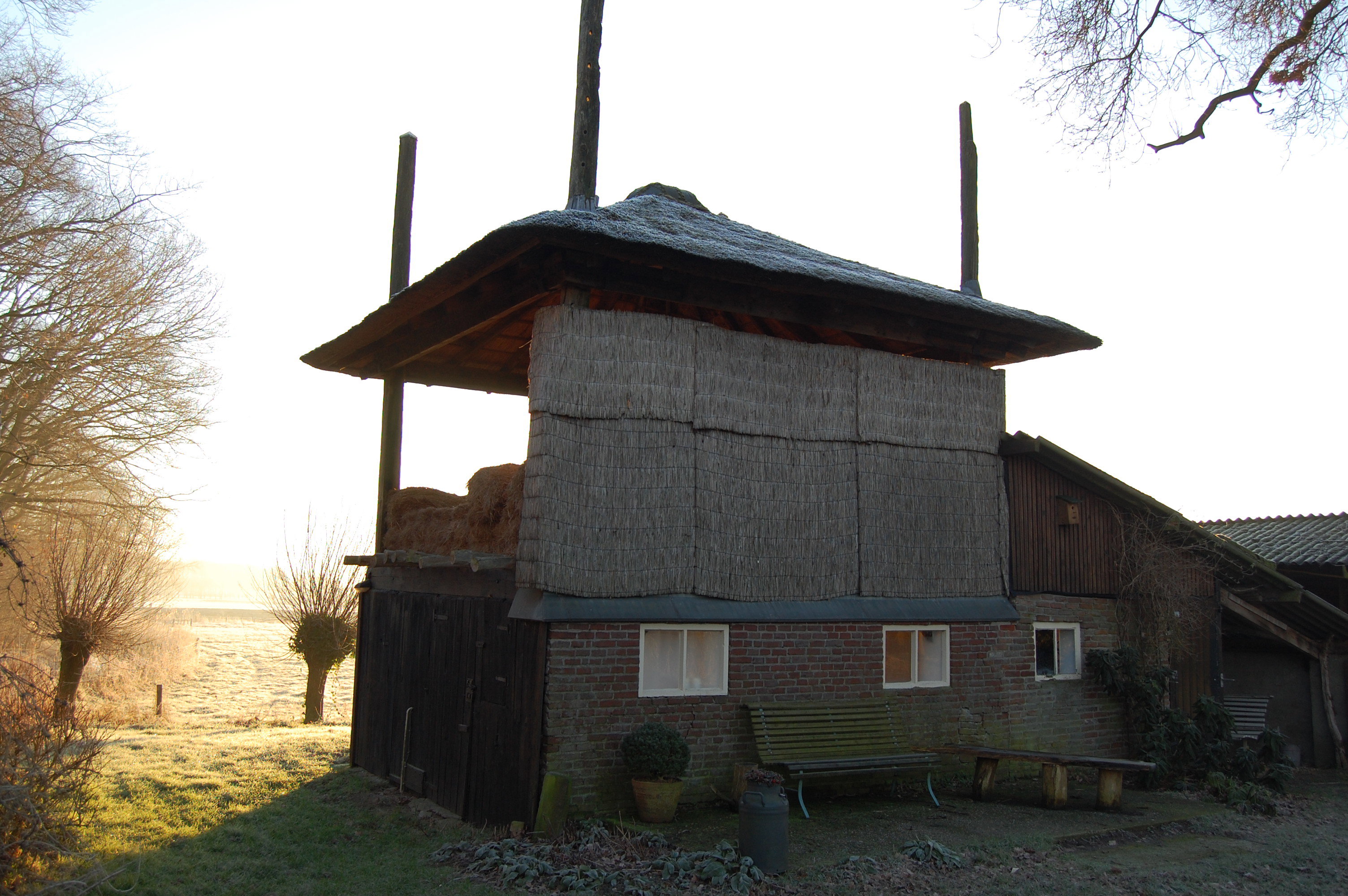 - image: 11