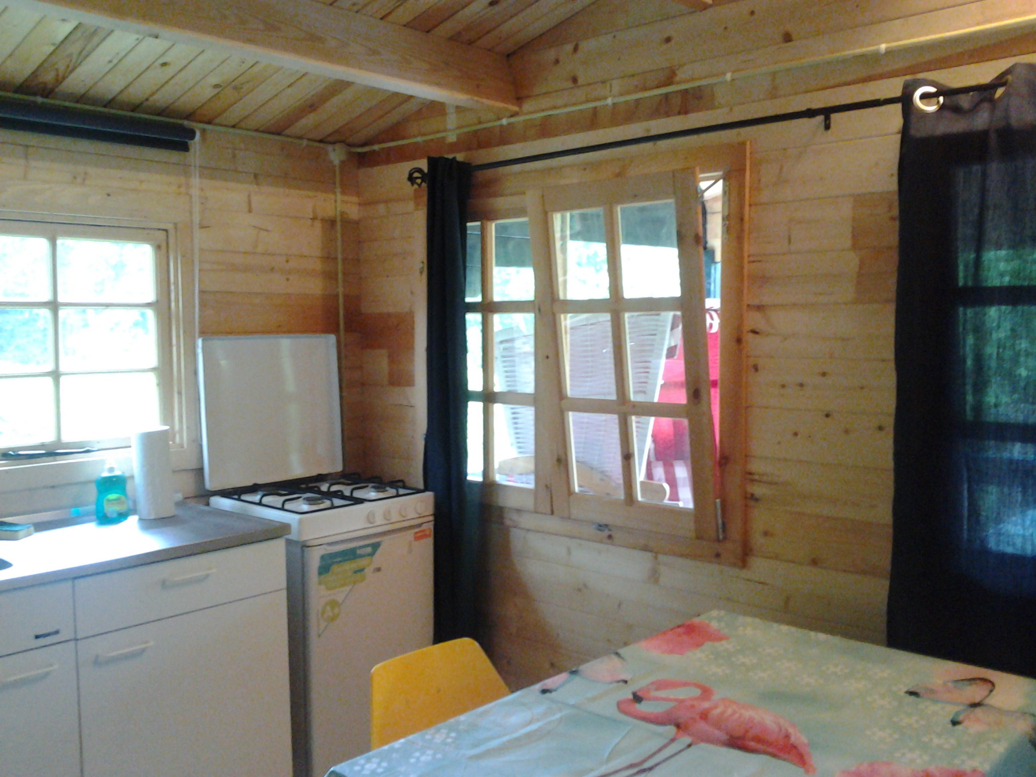 - image: 2