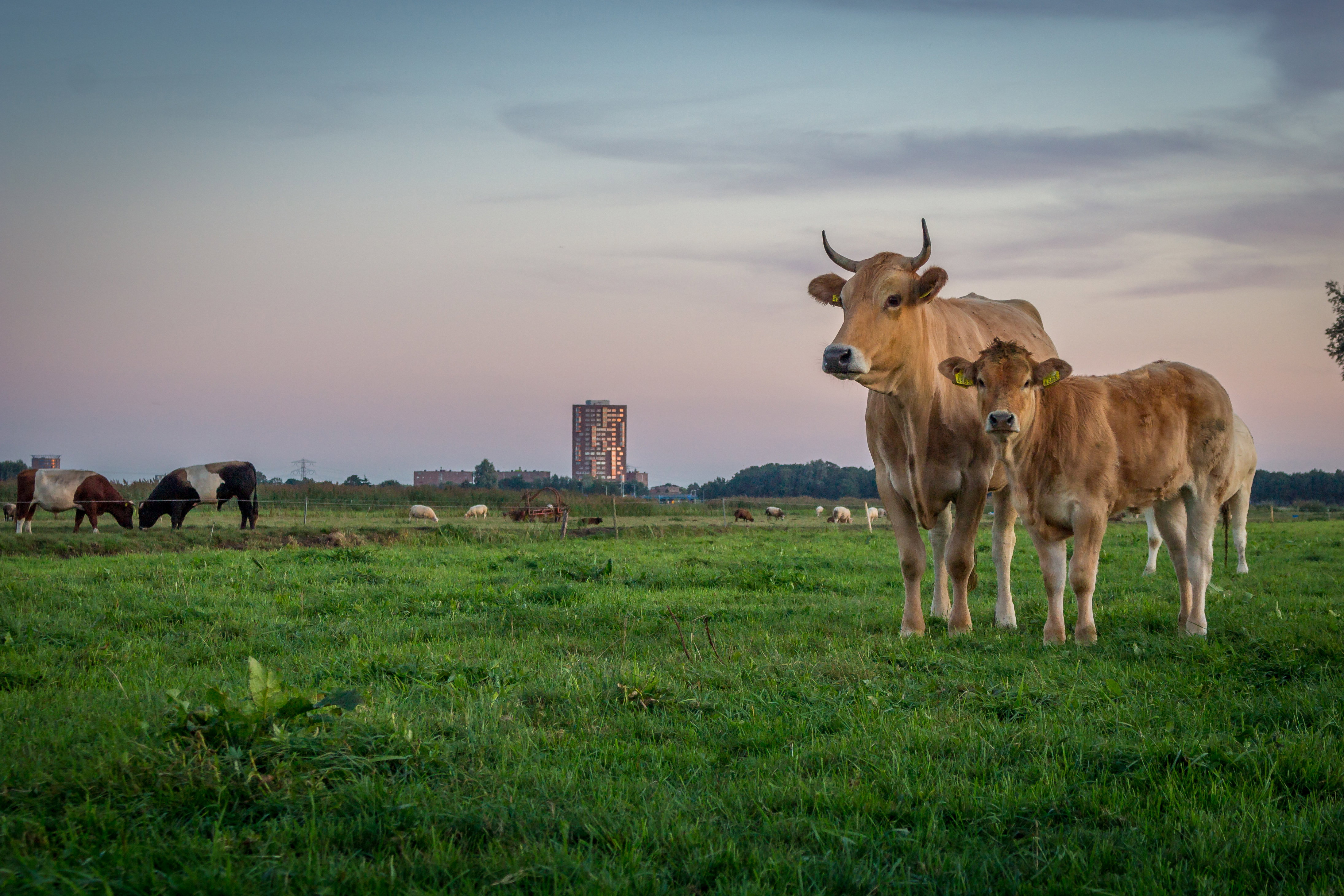 Maison nature à Bunschoten-Spakenburg