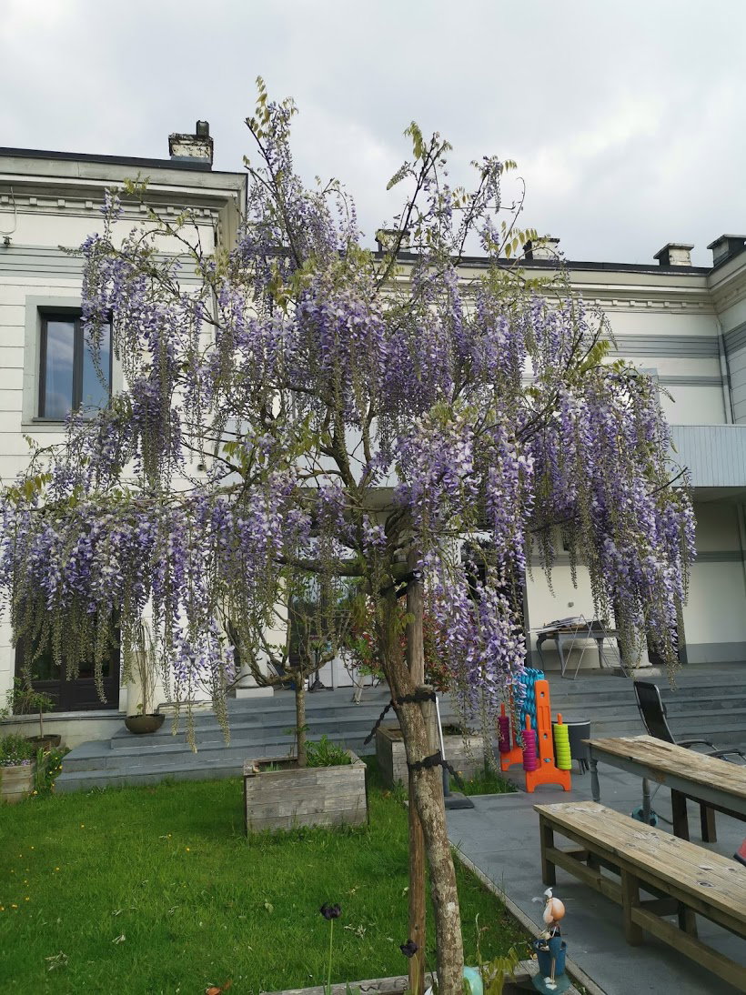 - image: 11