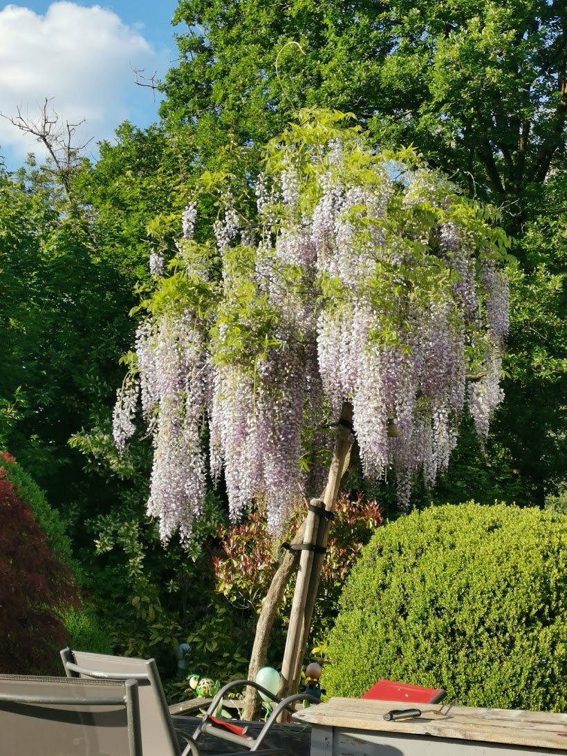 Natuurhuisje in Couvin