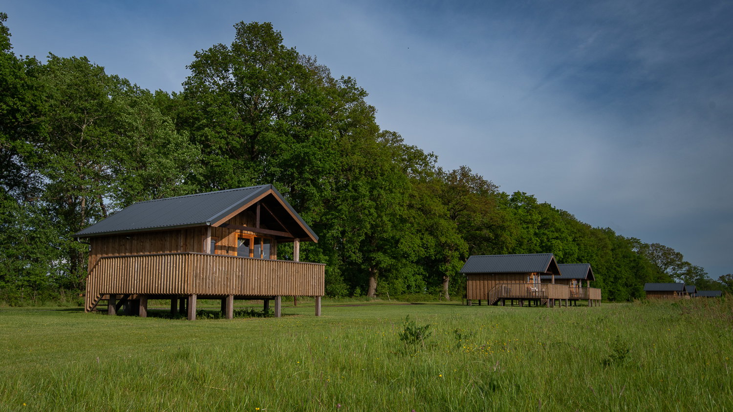 Natuurhuisje in Ruinerwold