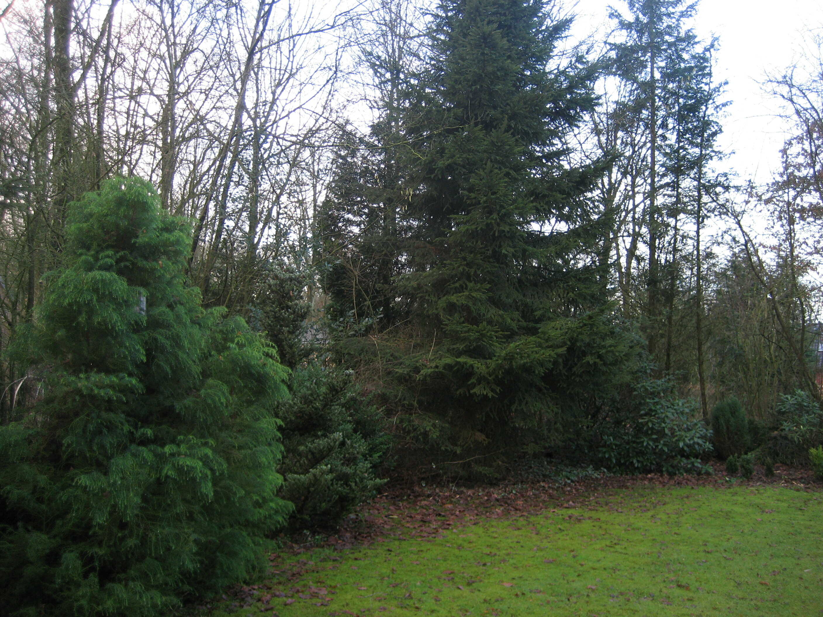 - image: 11