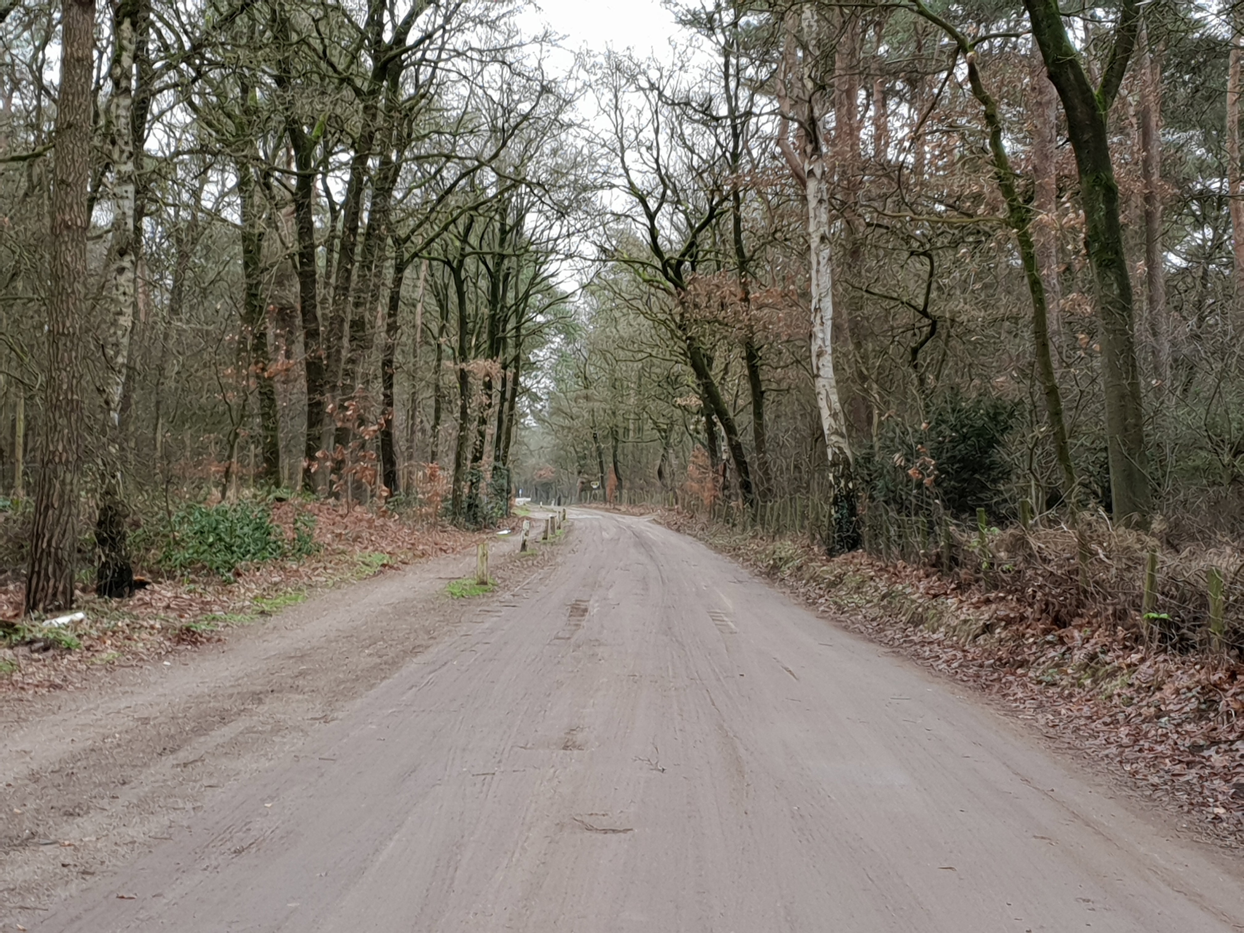 - image: 18