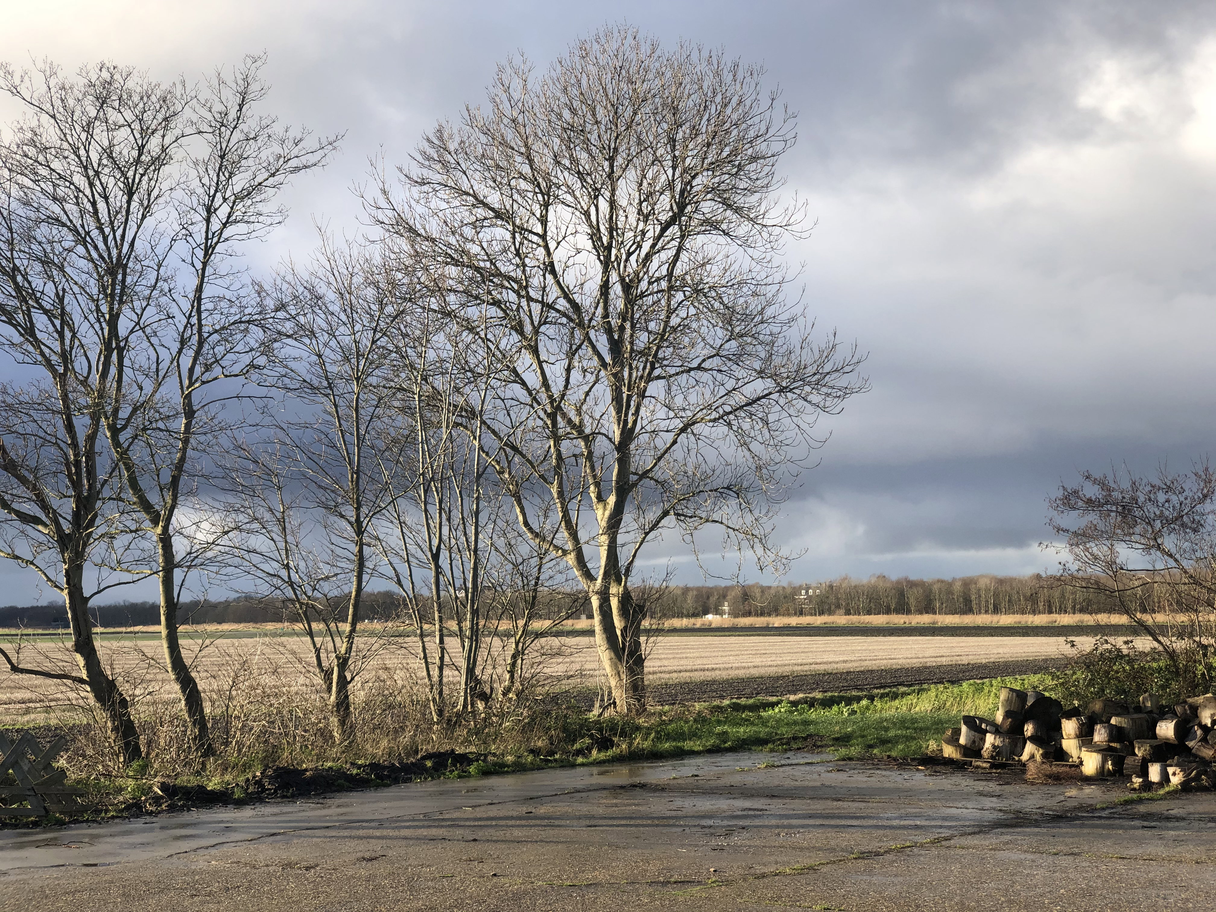 Natuurhuisje in Anna Paulowna