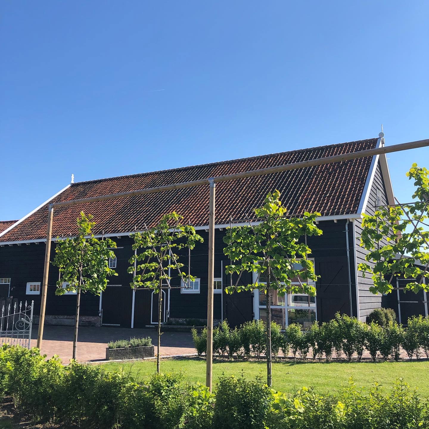 Maison nature à Driewegen