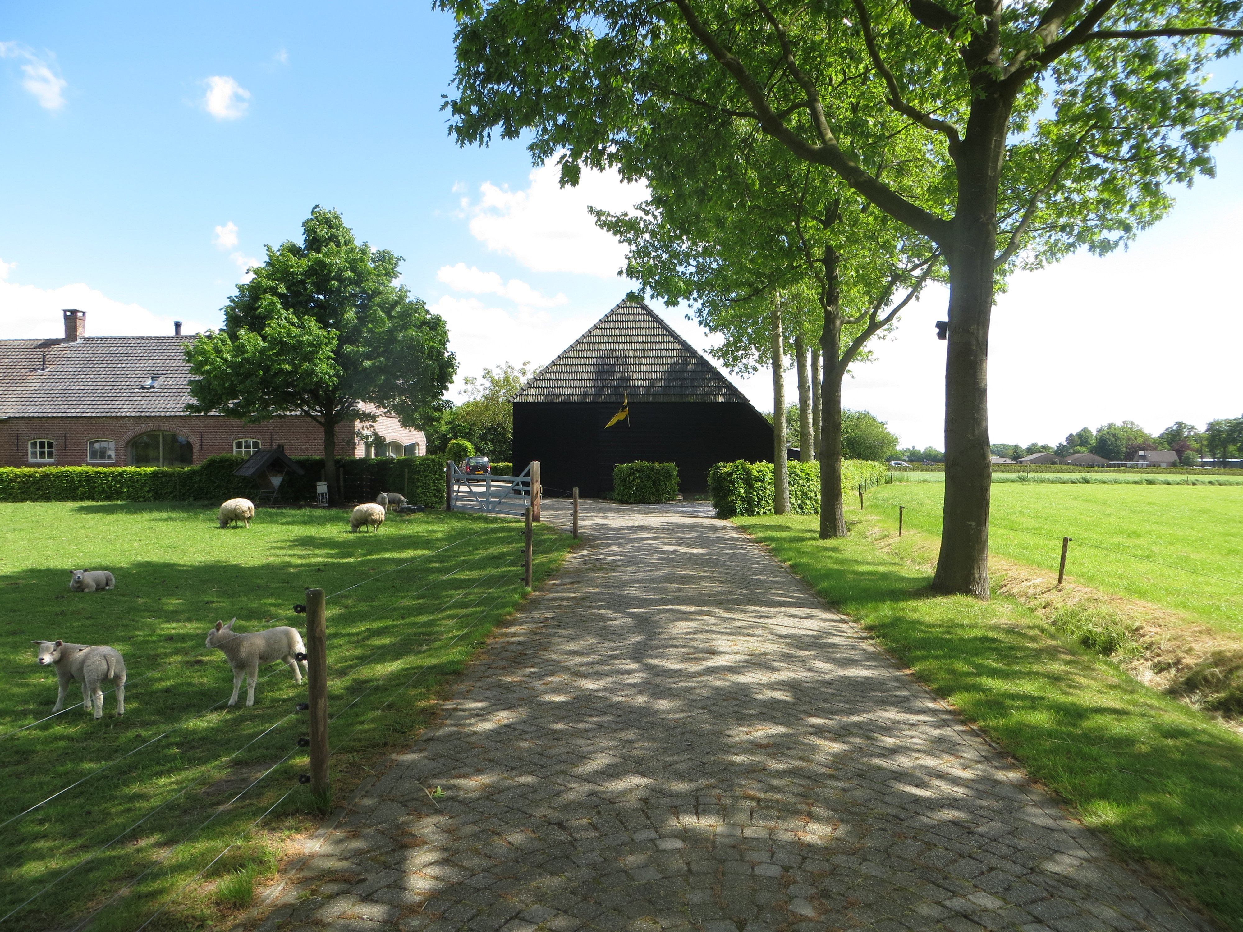 Maison nature à Oisterwijk
