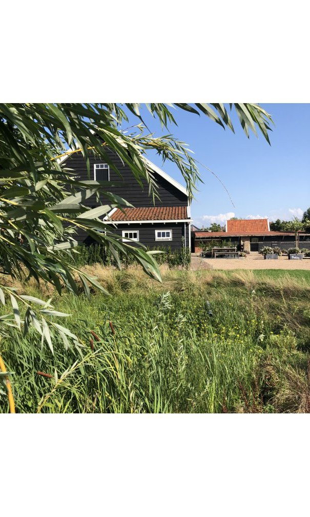 Maison nature à Driewegen