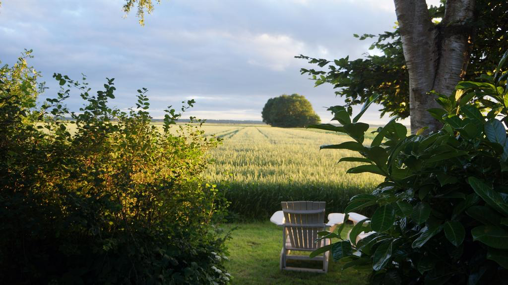 Naturhäuschen in Buinerveen