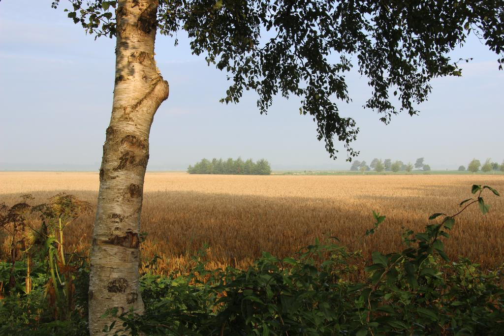 Naturhäuschen in Buinerveen