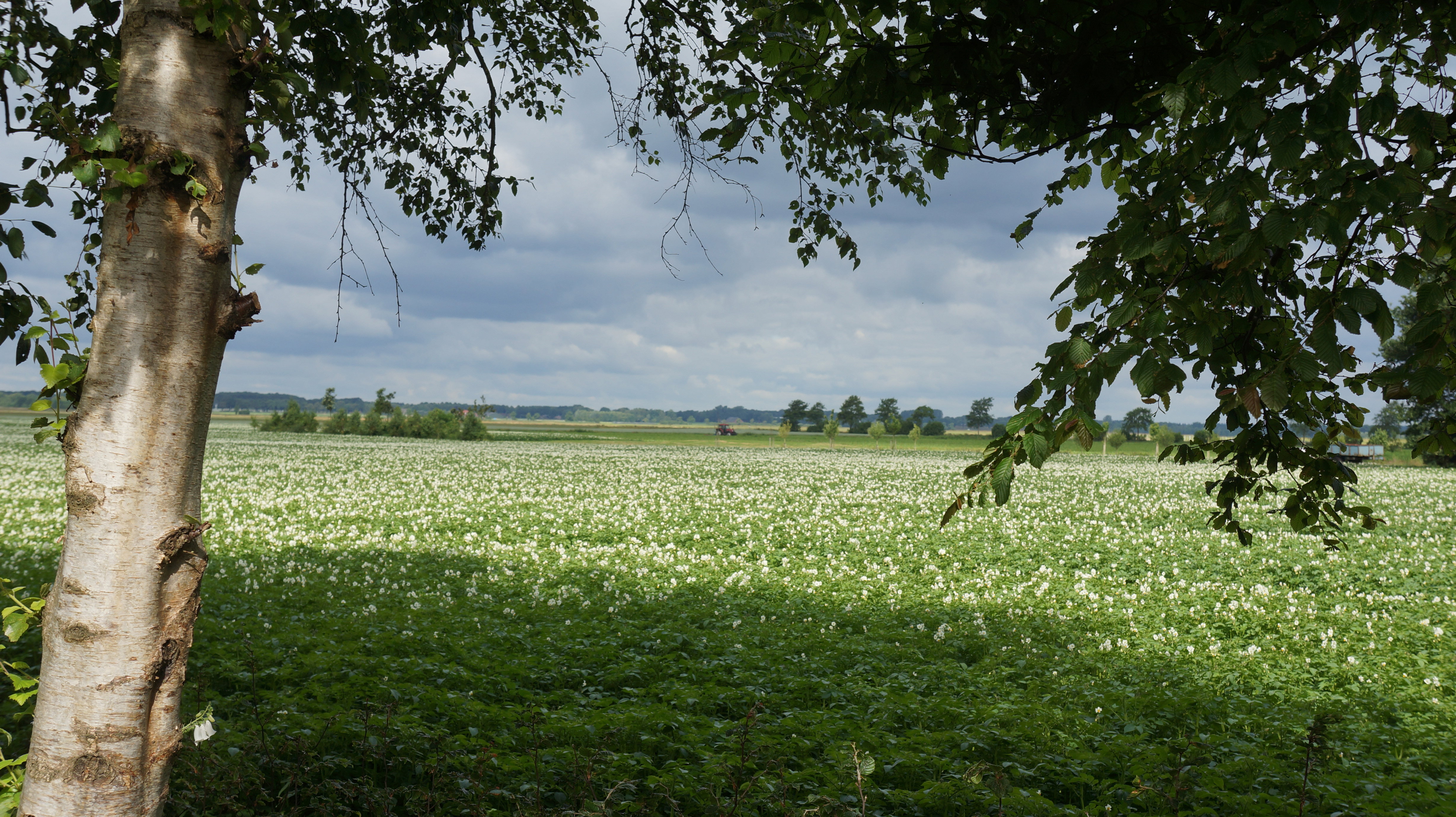 - image: 17