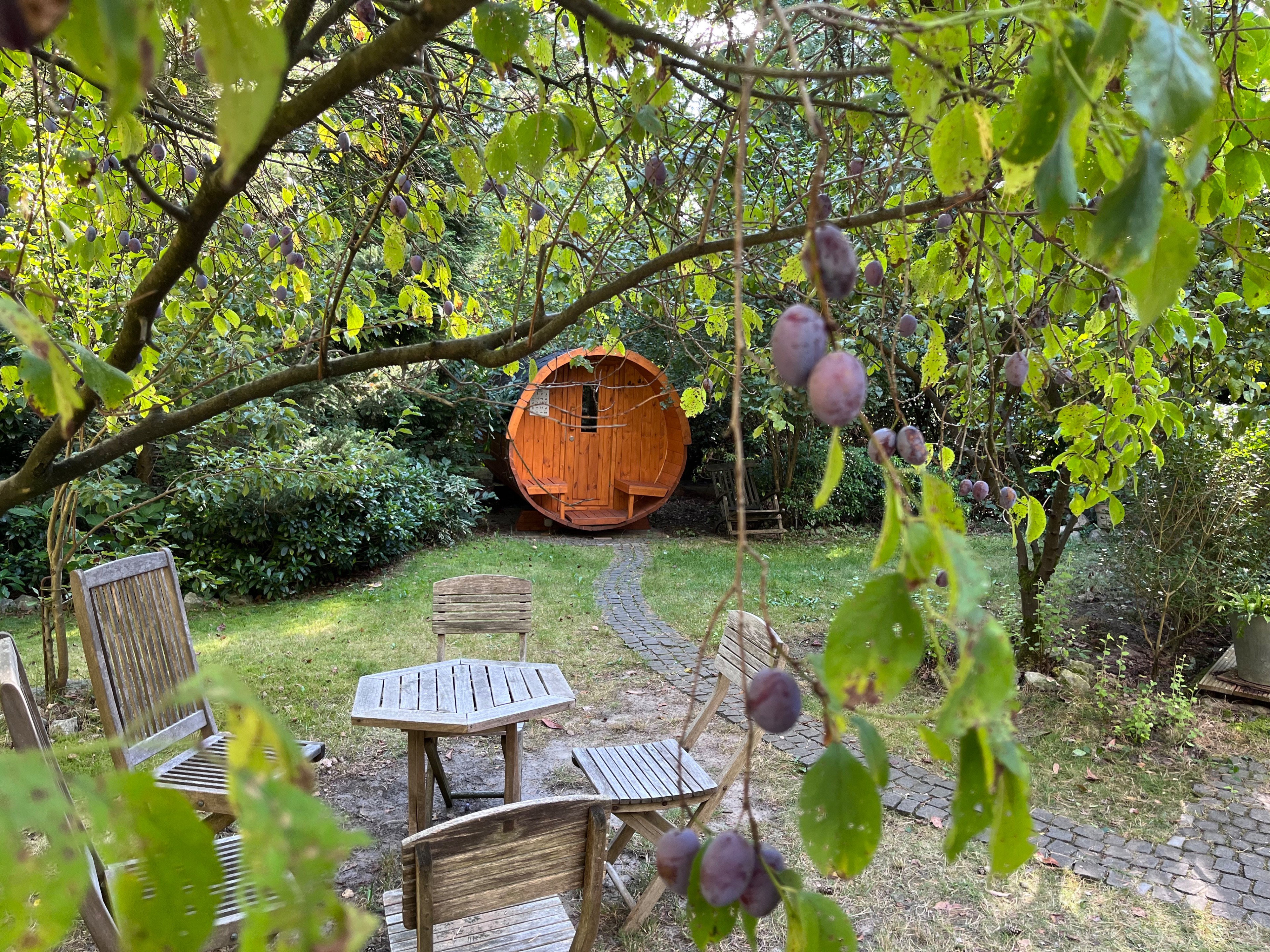 Natuurhuisje in Ommen