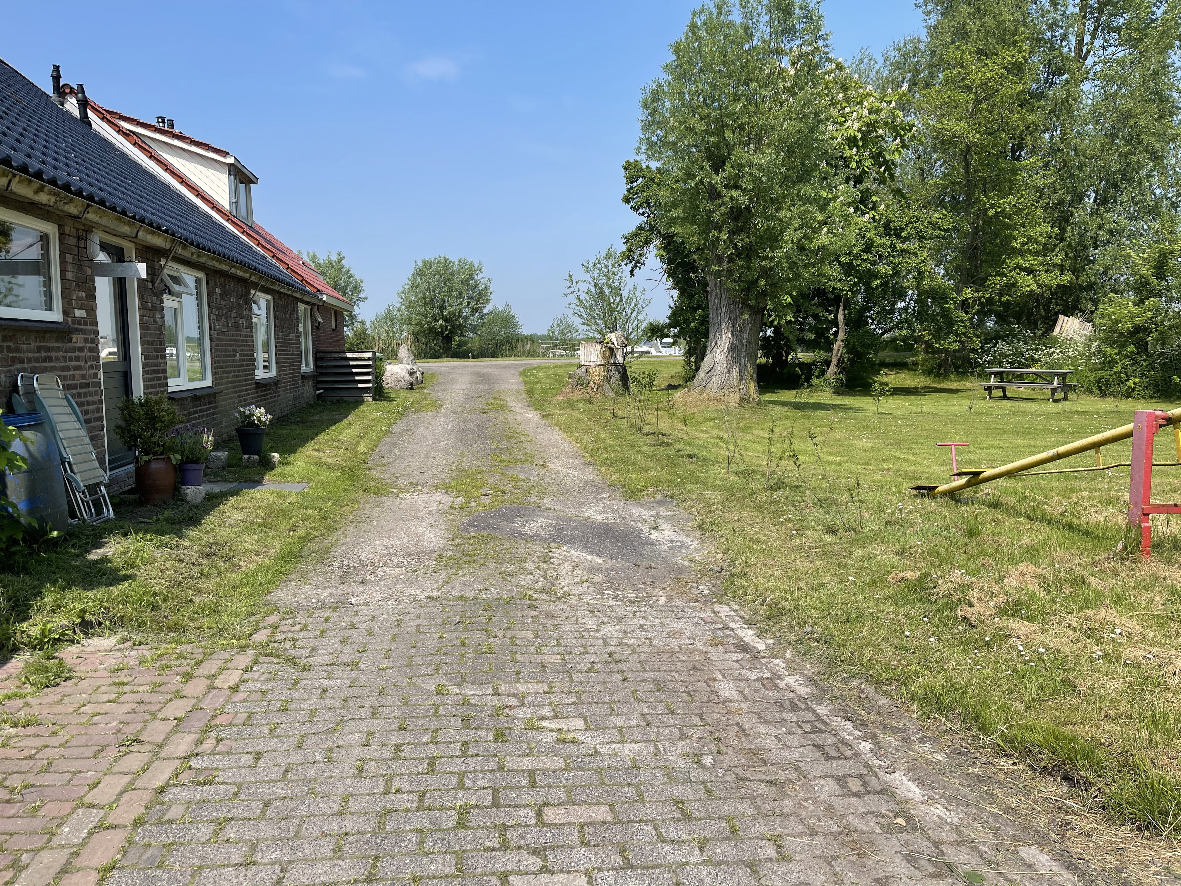 - image: 2