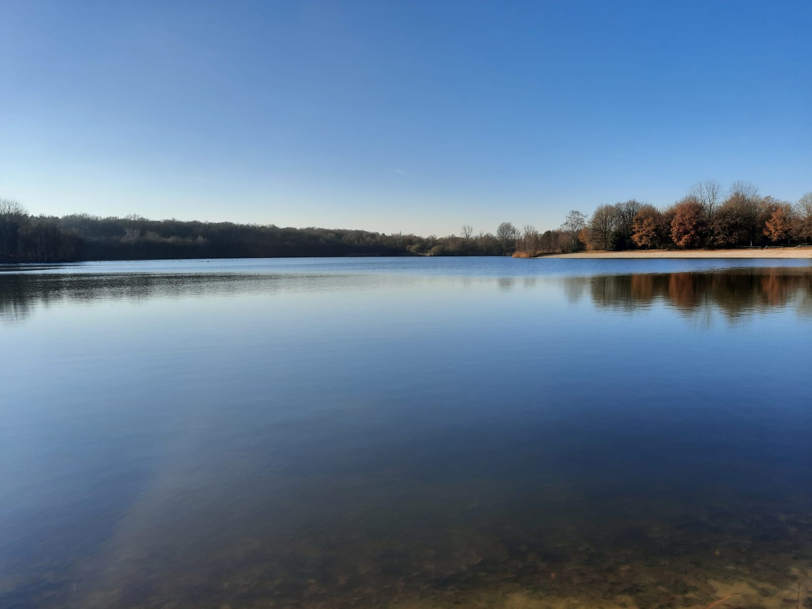 - image: 15