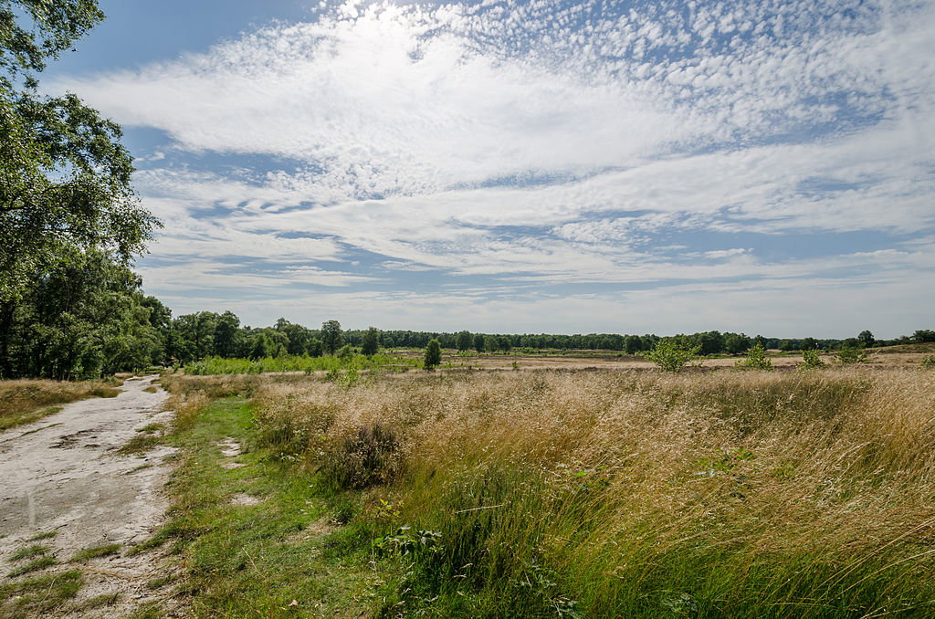 - image: 20