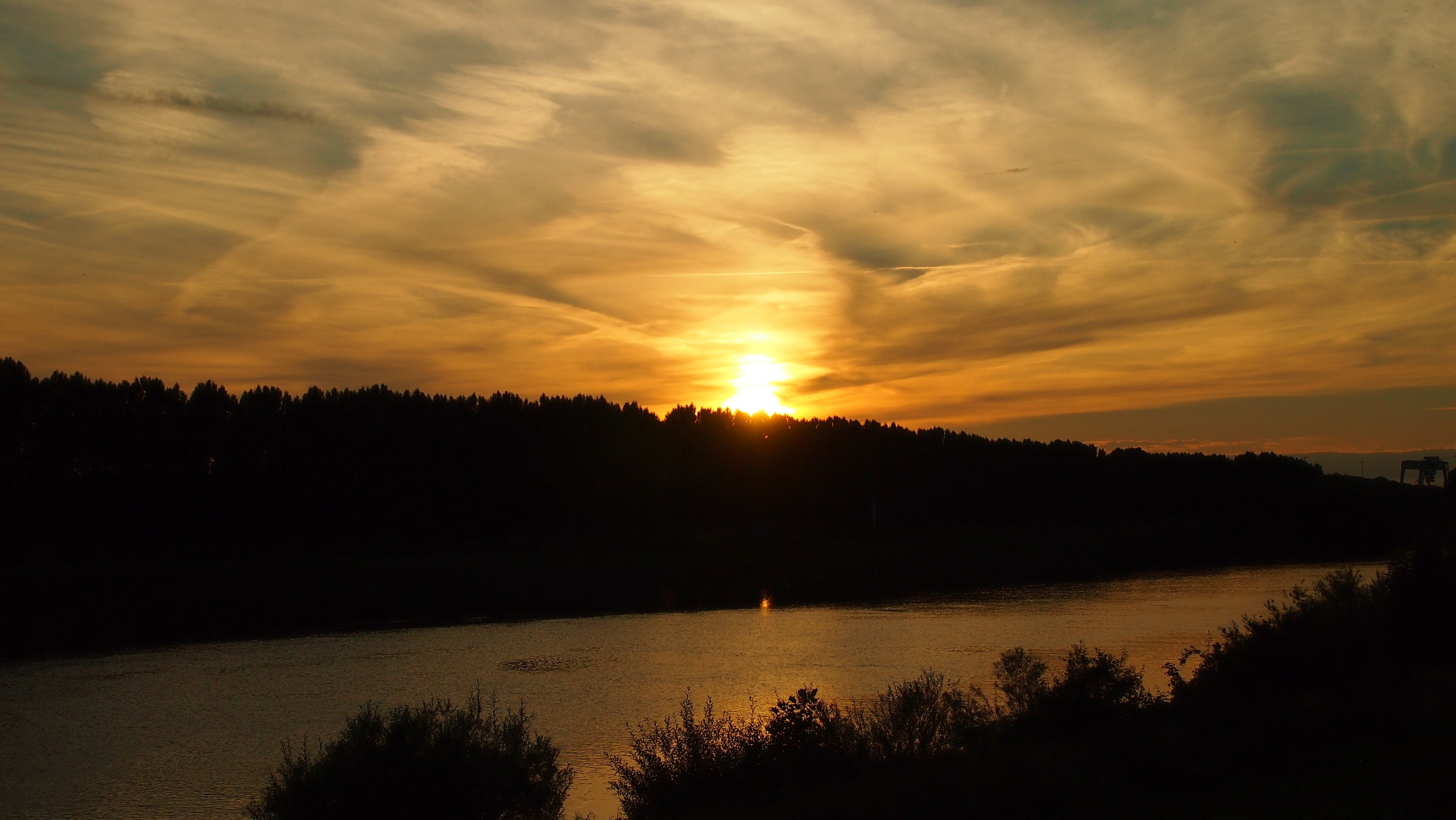 - image: 21