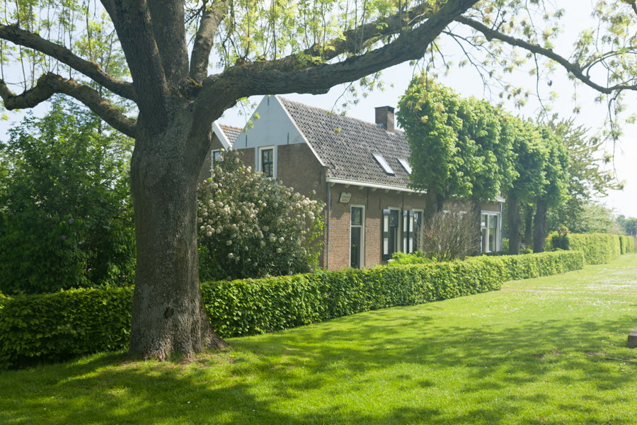 - image: 2