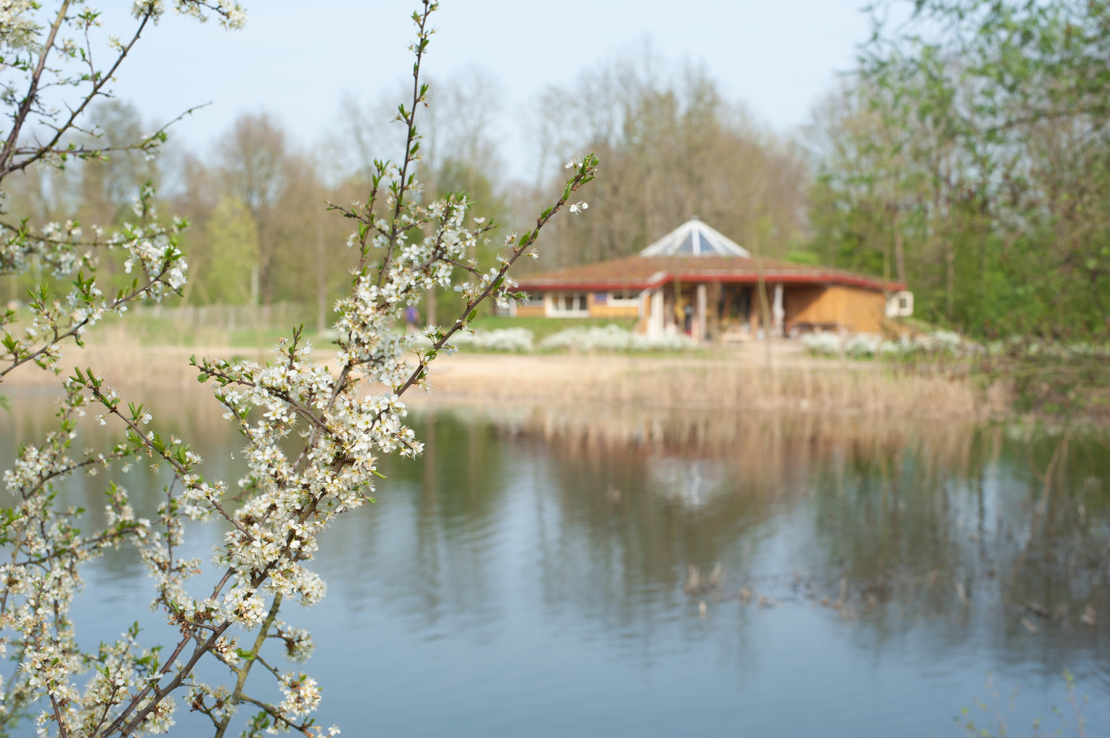 Naturhäuschen in Braamt