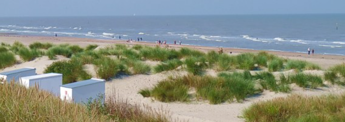 - image: 24