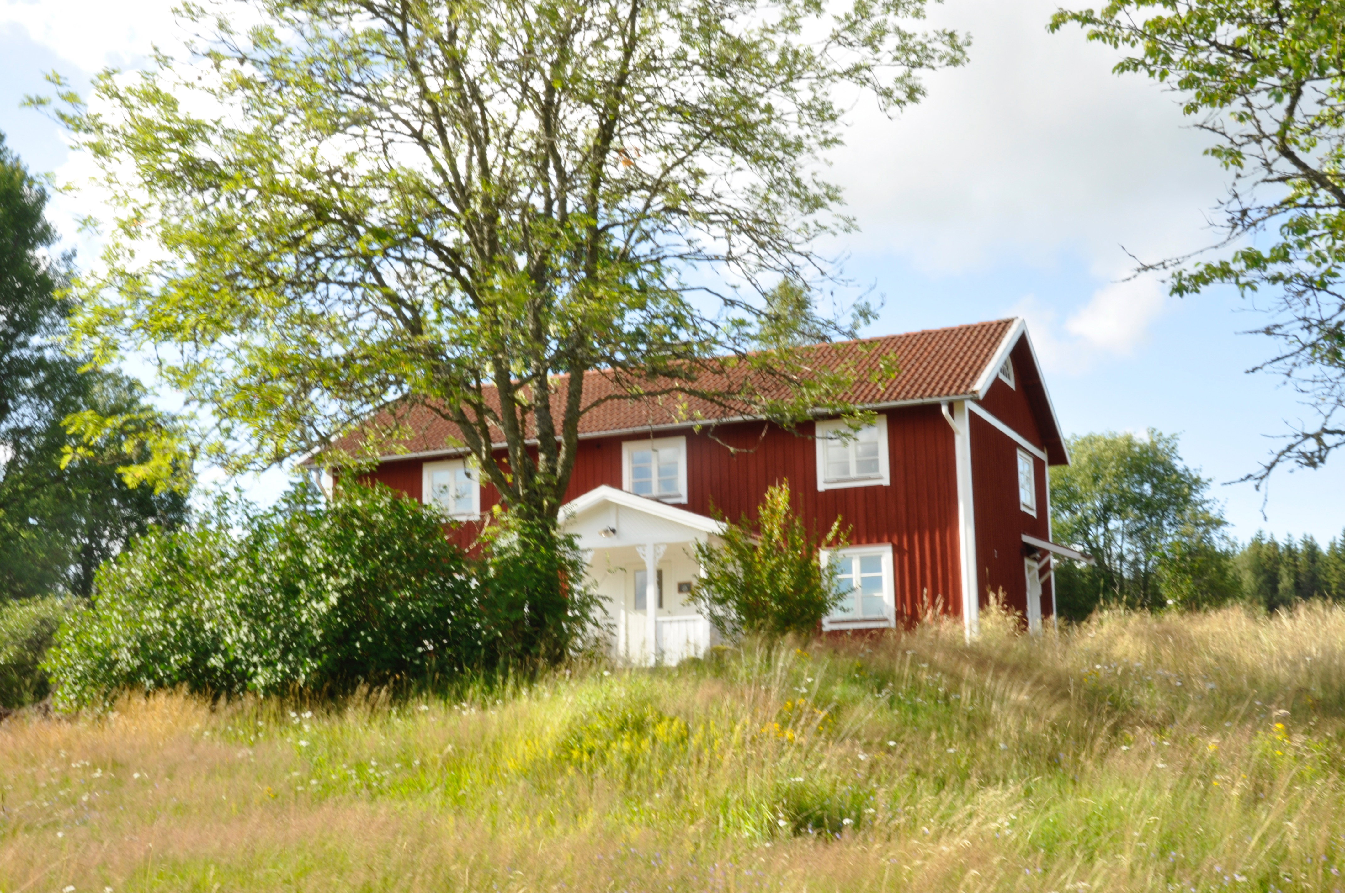Maison nature à Lönsäs 3