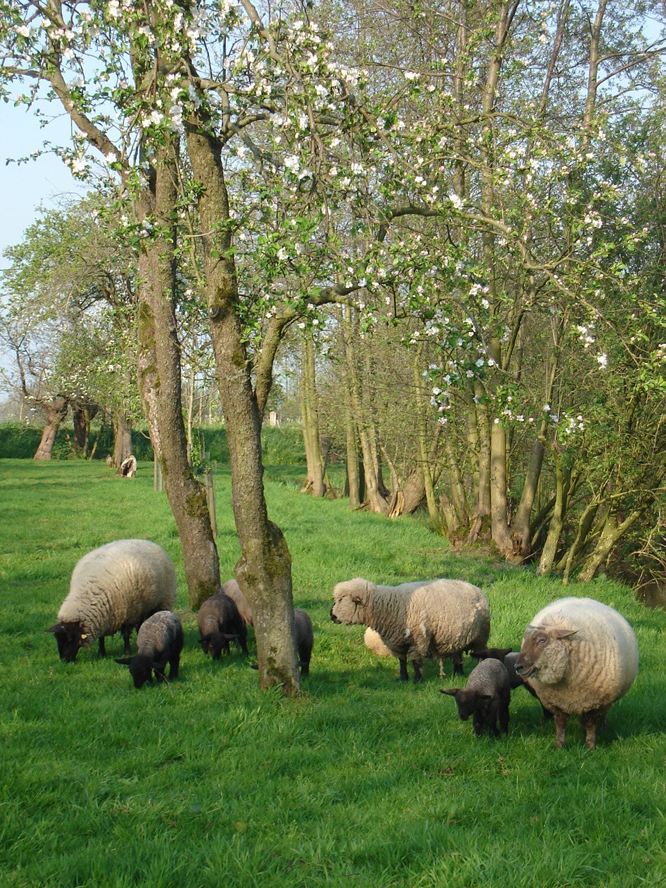 Naturhäuschen in Vlist