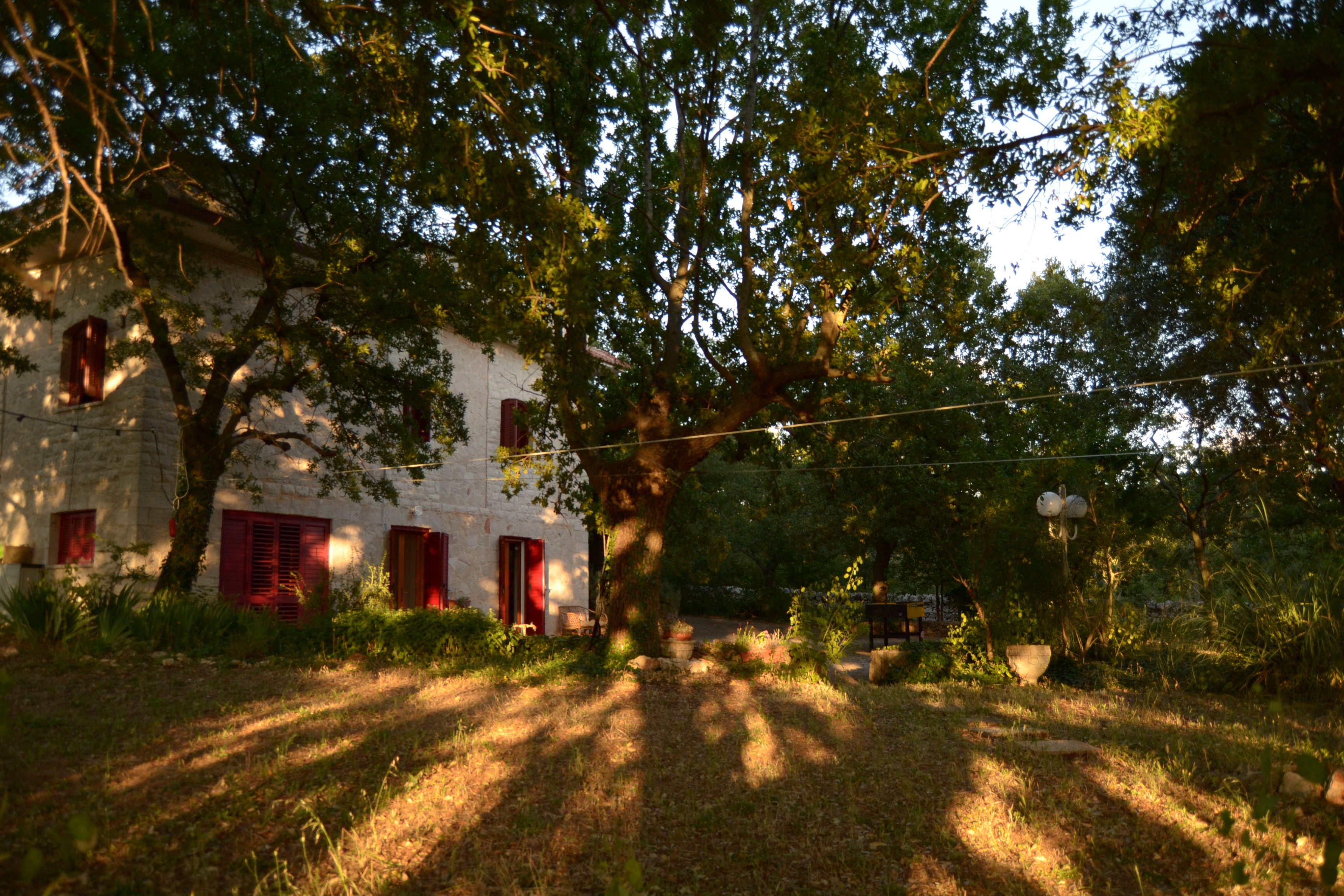Maison nature à Locorotondo