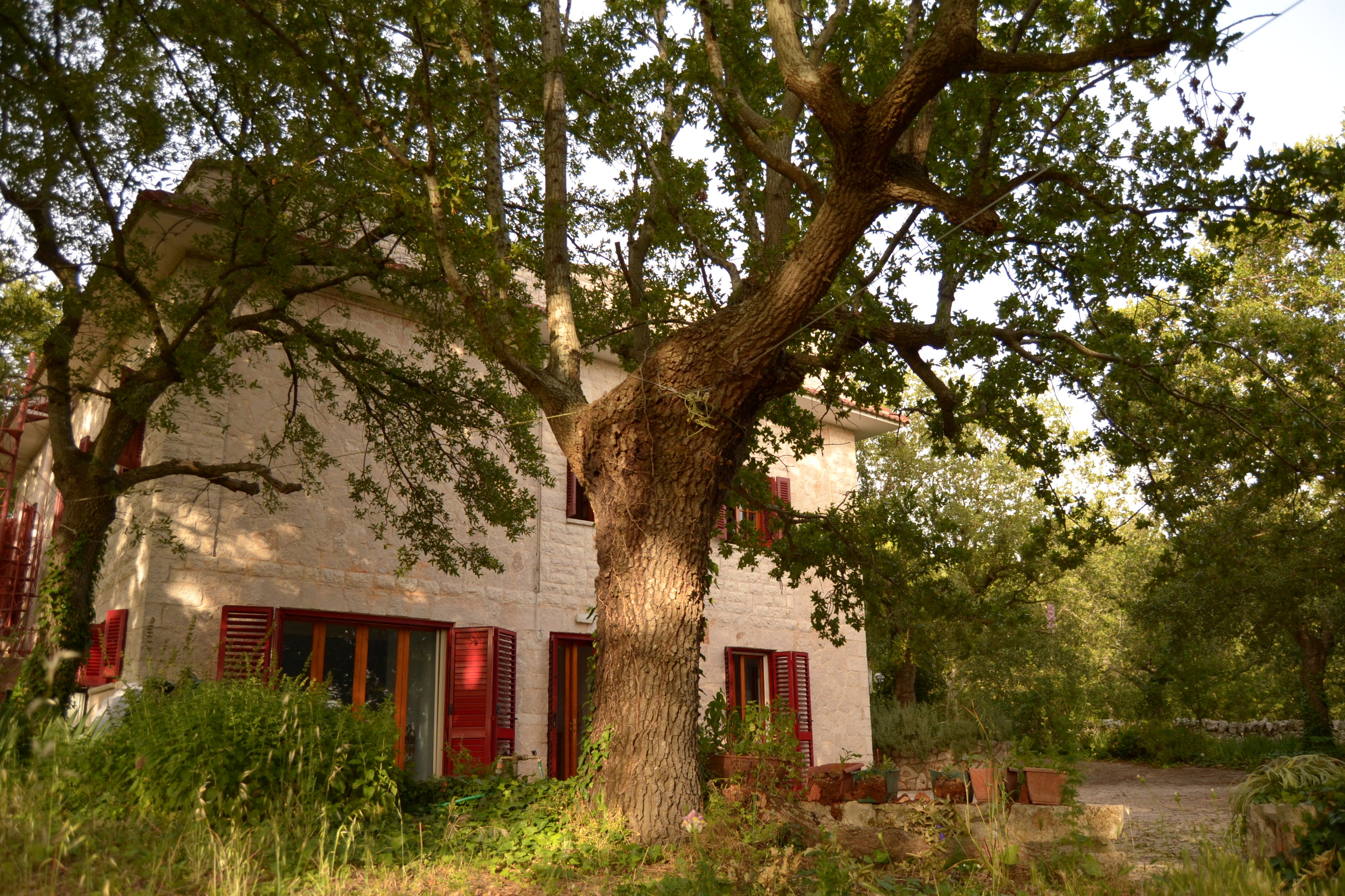 Maison nature à Locorotondo
